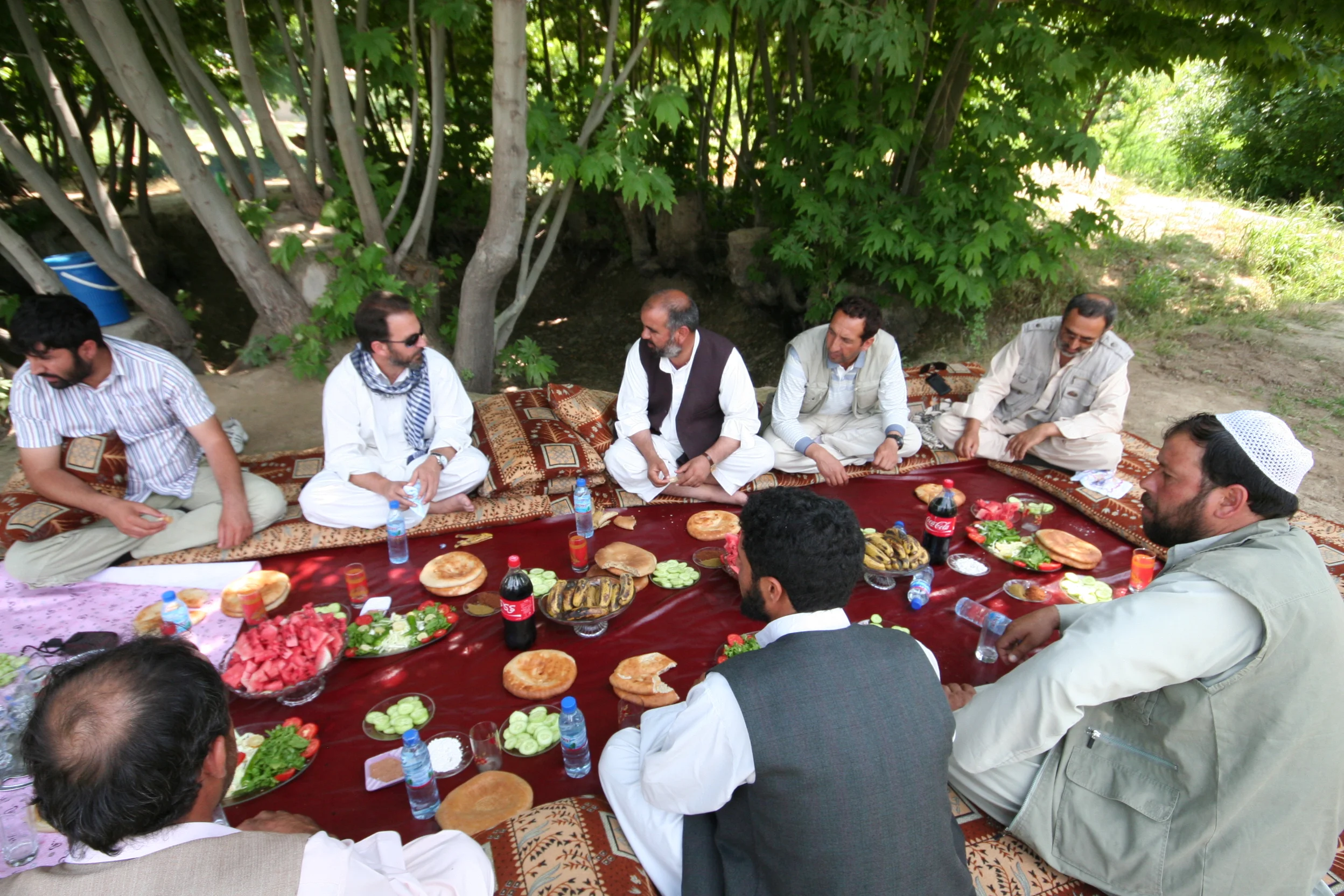 PICNIC