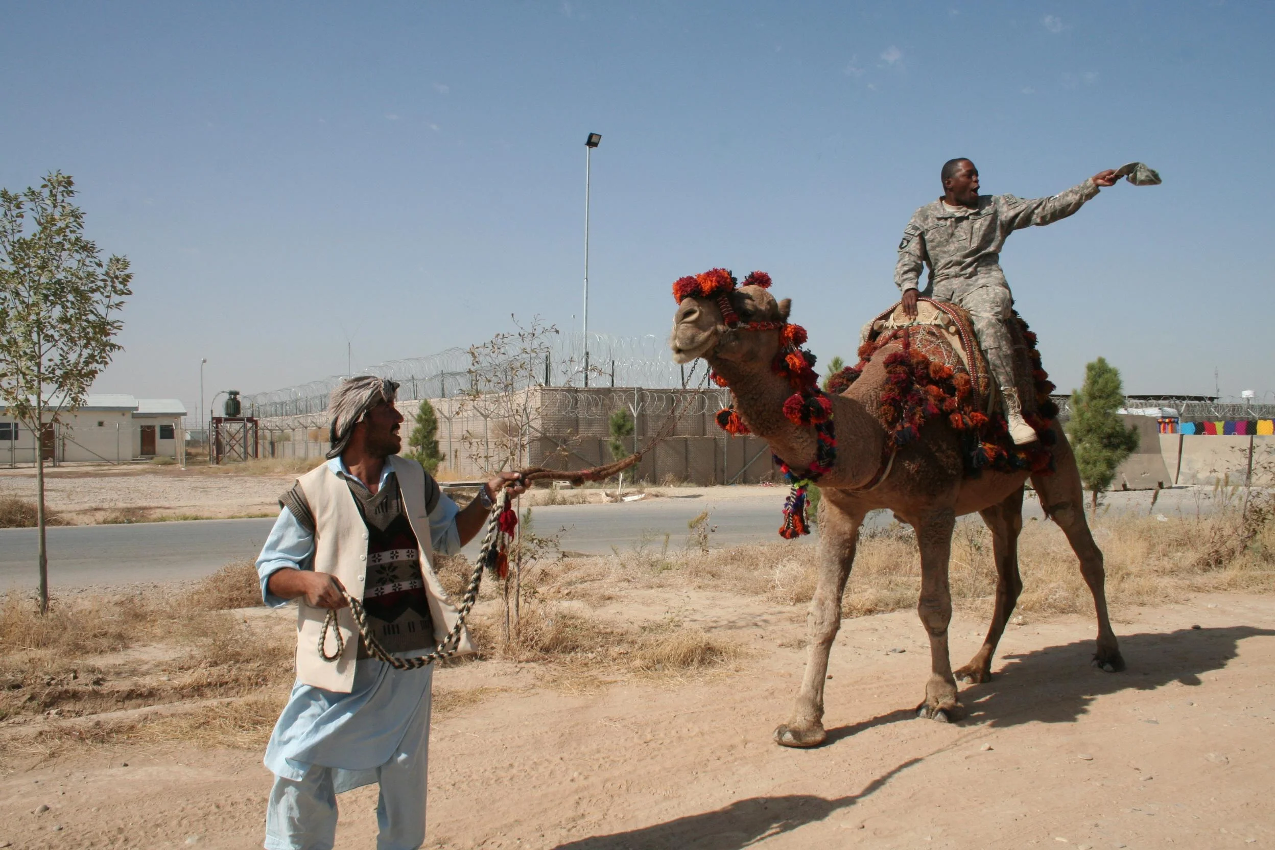 CAMEL RIDES
