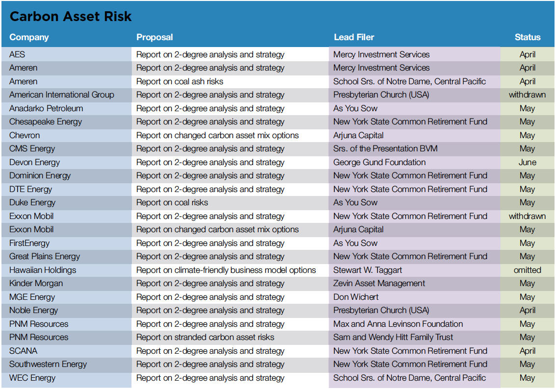 Carbon Asset Risk.png