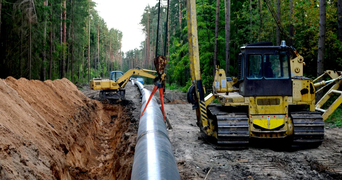Natural Gas In The Power Sector: Bridge Fuel Or A Stranded Asset? 