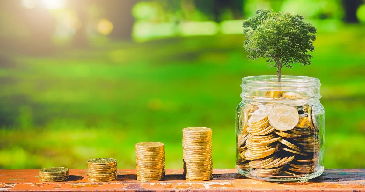 Beta Activism: Benefit Corporations and External Cost Disclosure
