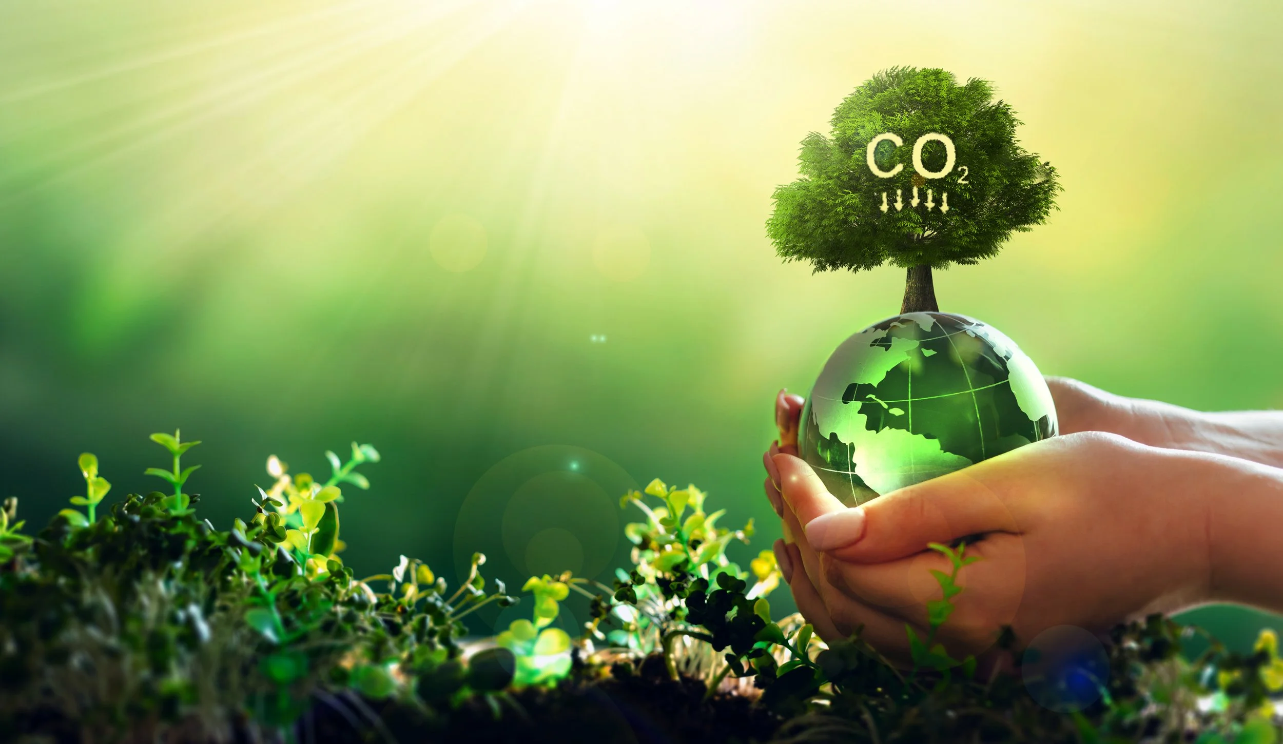 Small Cap Companies have a role to play on Climate