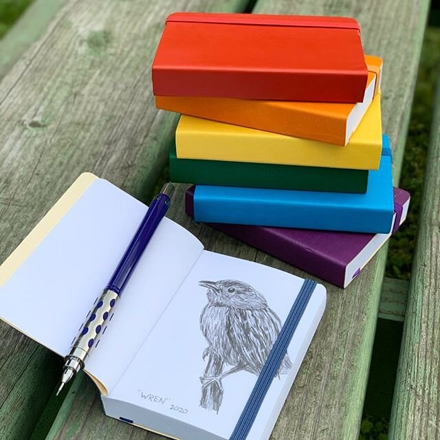 Quick Sketch! ✍️ 🐦 
A little House Wren has been visiting me outside my window.  Love their songs! 🎶 This is the same species of bird I made the birdhouses for in my previous post.  Digging these travel pocket journals from @pentalicart 🌈 What are