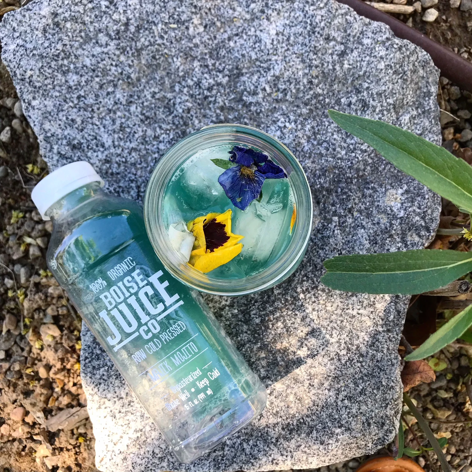 Boise Juice Co. 6.jpg