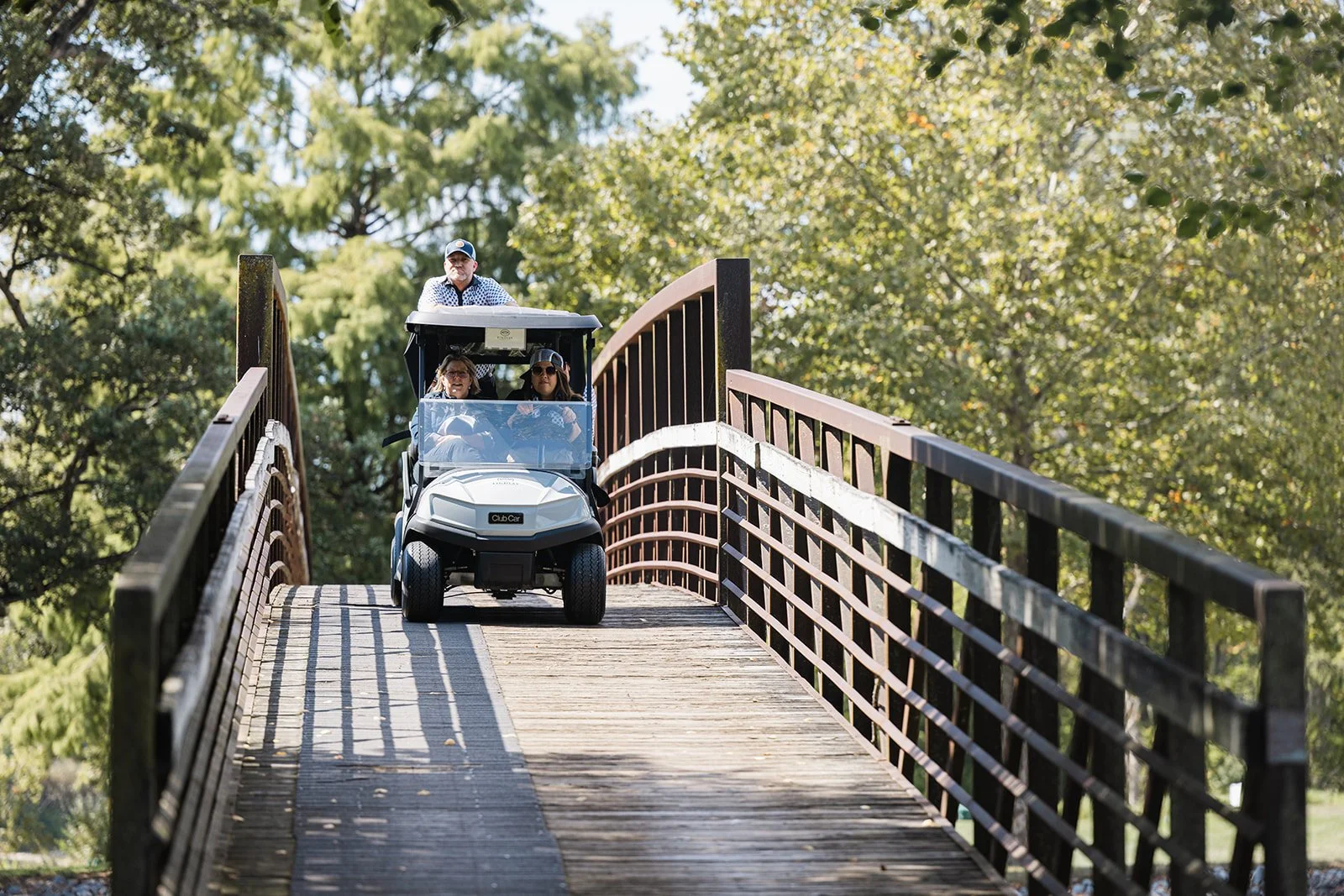 cart-rides.jpg