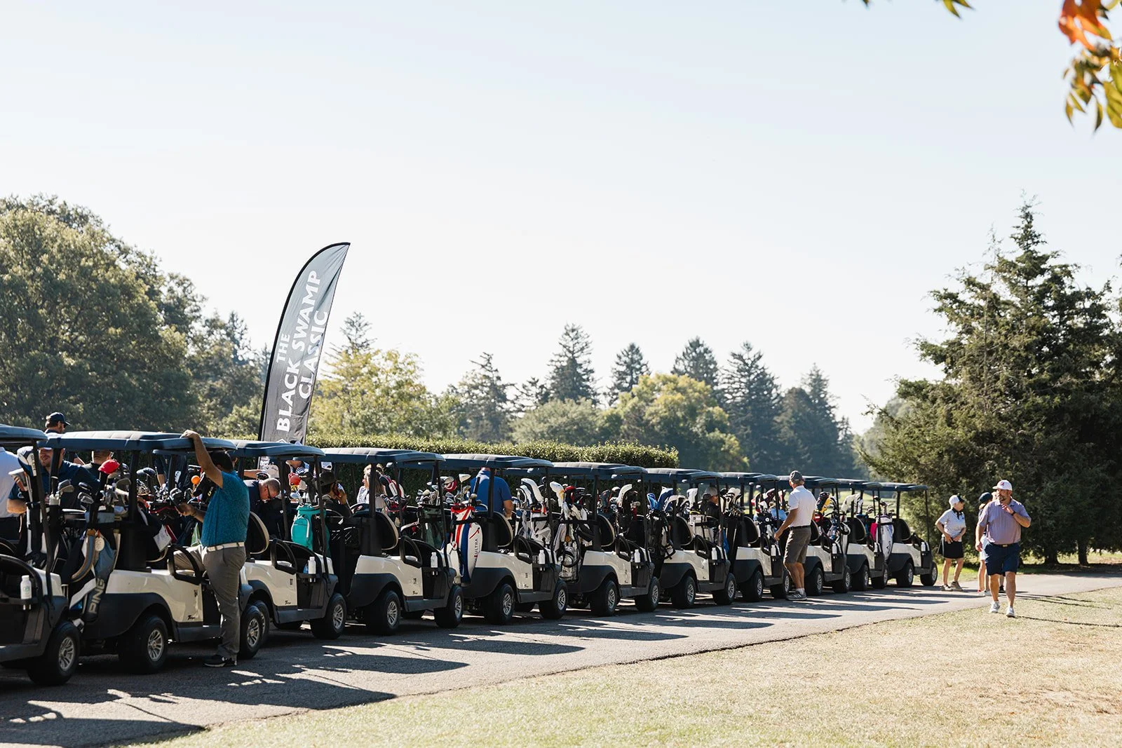 carts.jpg