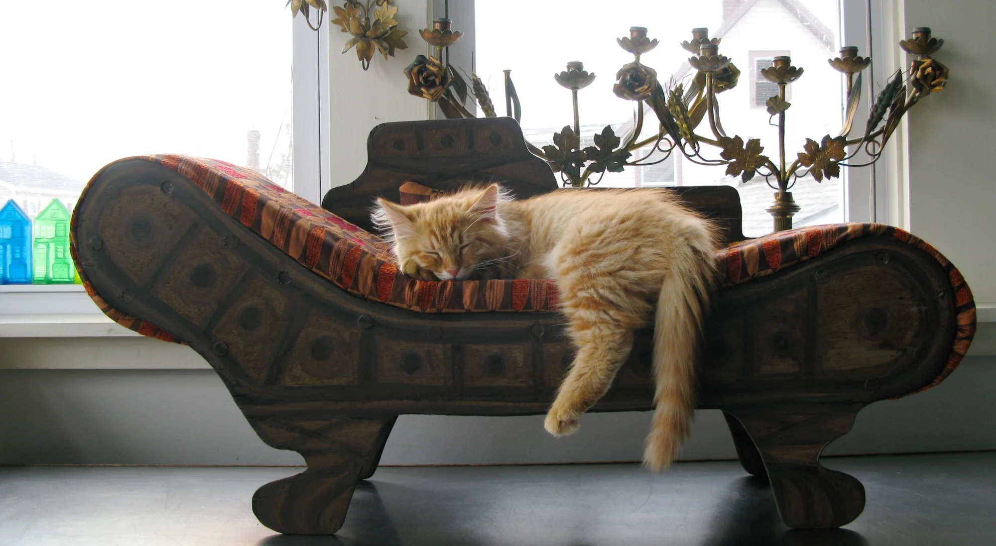 behavioral medication for cats