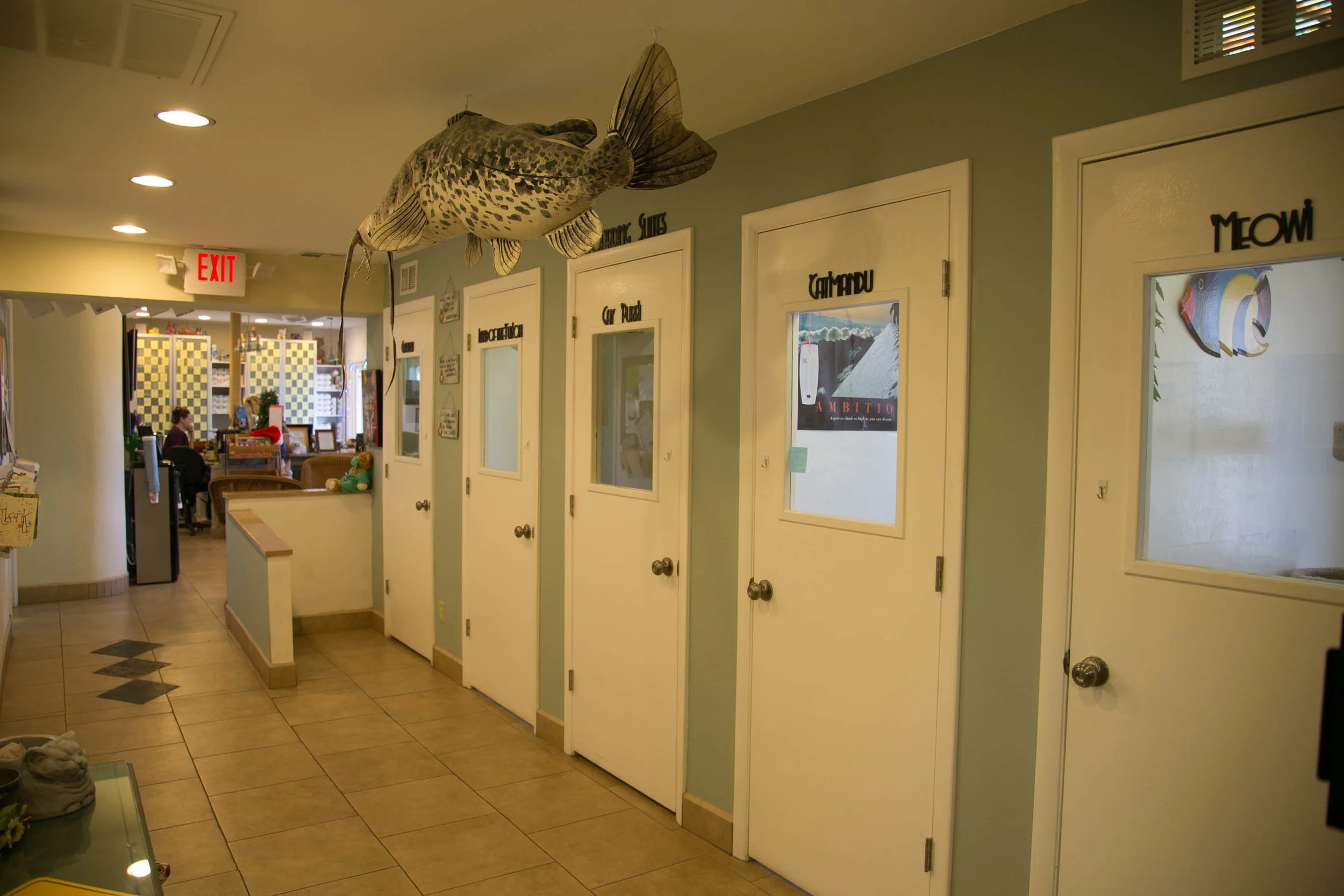 The spacious, comfortable boarding suites at the Scaredy Cat Hospital