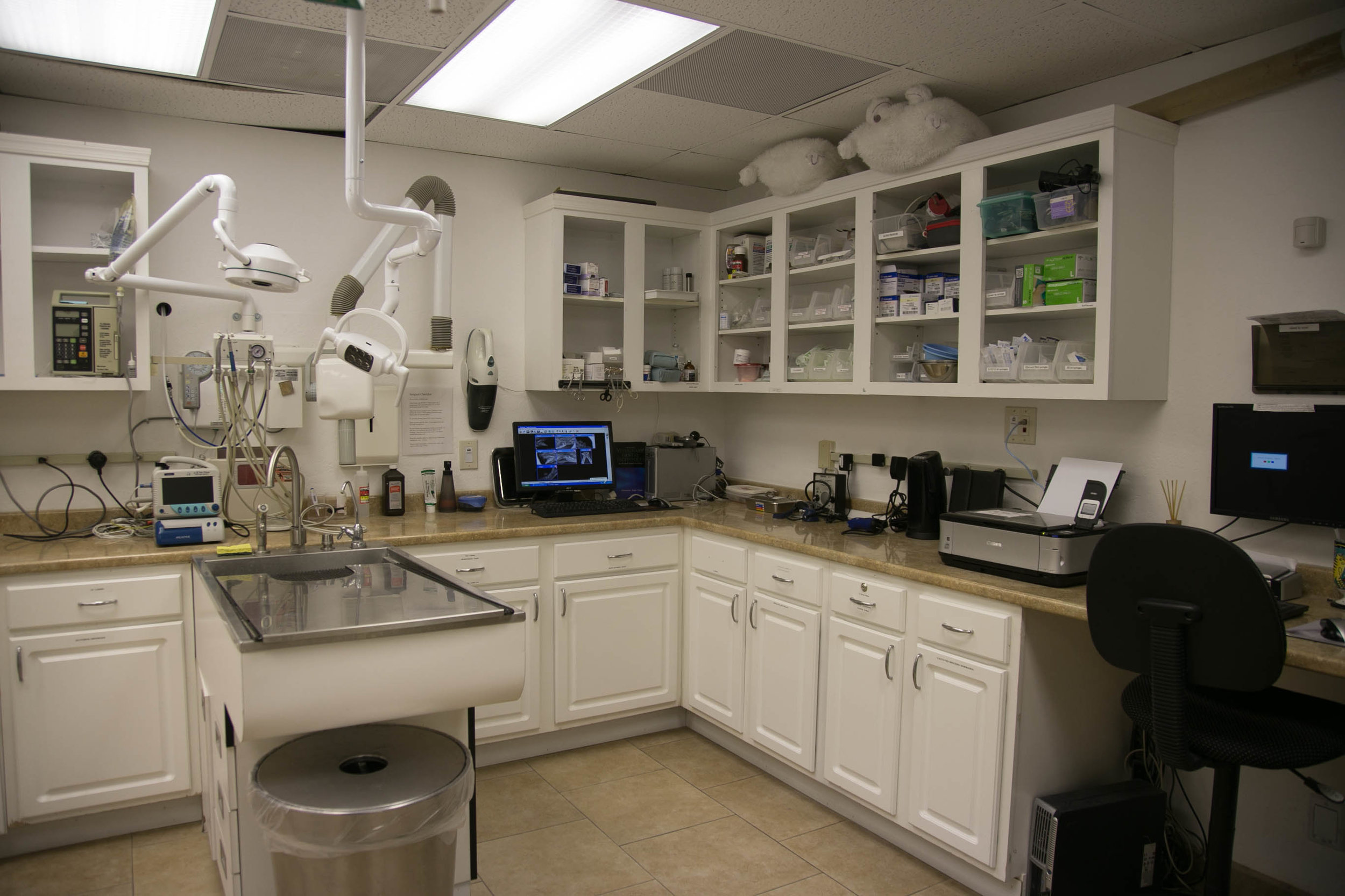 Feline Dentistry Suite and Treatment Area