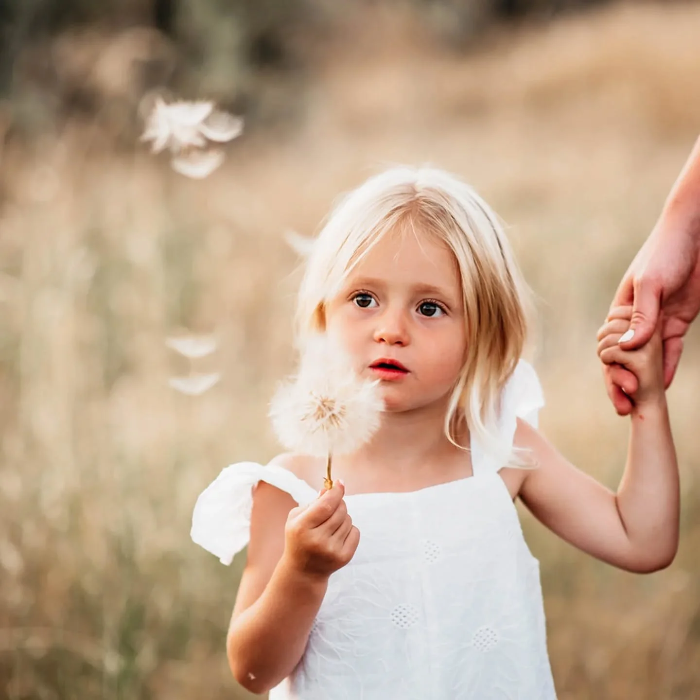 🤍
.
.
.
.
.
.
.
#boisephotographer #idahophotographer #boisefamilyphotographer #idahofamilyphotographer #cameramama#darlingmoment #jj_its_kids #pixel_kids #authenticlovemag #thefamilynarrative #simplychildren #rumwildmychild #heyheyhellomay #nesting