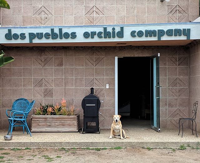 Dos Pueblos