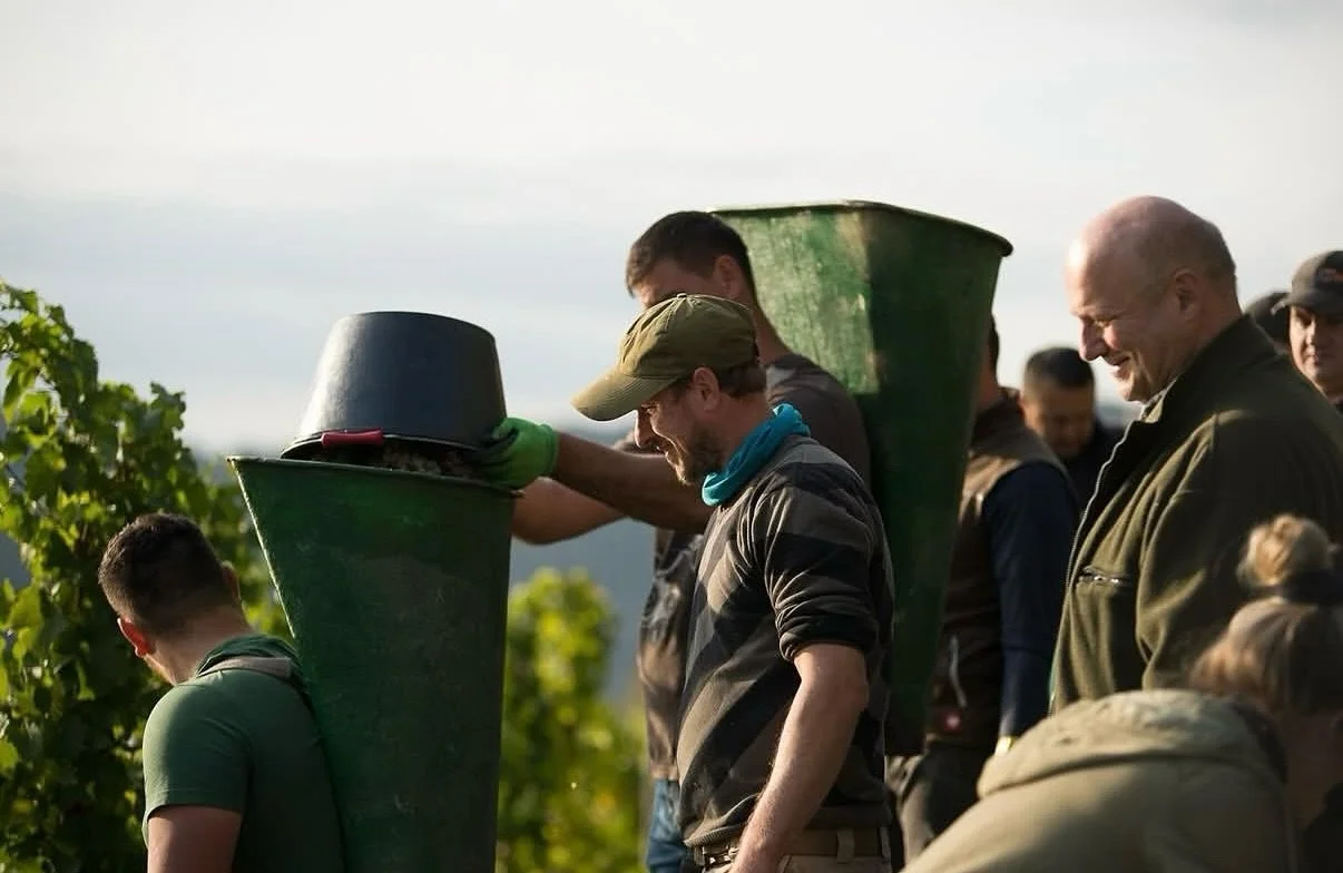 Harvest is almost complete for @selbach.oster - the renowned German producer behind our Kavalier Riesling! We&rsquo;re looking forward to discovering our vineyards&rsquo;  exceptional 2025 vintages.