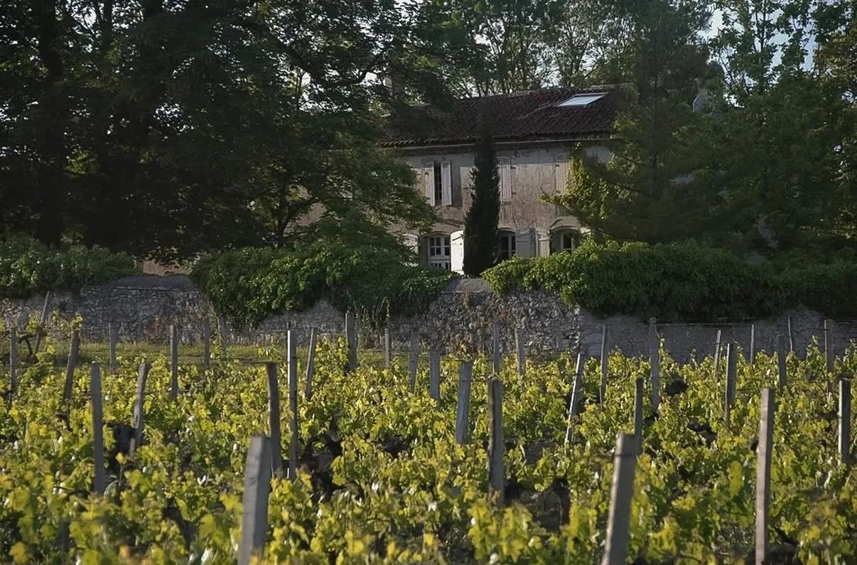 Among the vines at @hautmeneau - the producer behind our Quai Lumi&egrave;re Bordeaux.

Located in Blayes-C&ocirc;tes de Bordeaux, Bordeaux&rsquo;s oldest wine producing region, Ch&acirc;teau Haut-Meneau is a family owned estate dedicated to producin