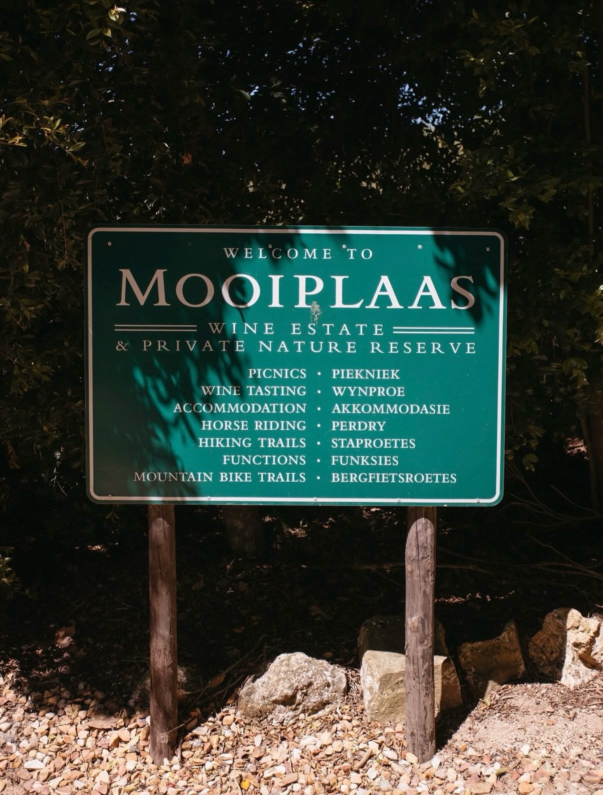 As winter sets in and vines go dormant in the northern hemisphere, harvest season is quickly approaching on the other side of the equator! Located in Stellenbosch, South Africa, Mooiplaas Wine Estate is gearing up to craft another vintage of our Fynb