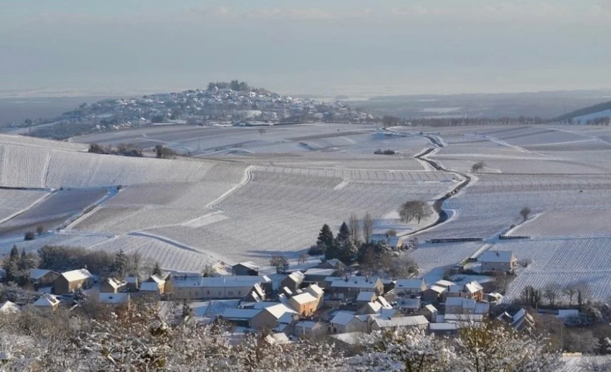 Winter landscape from @domainelagemiere, the vineyard behind French Blonde Sancerre ❄️