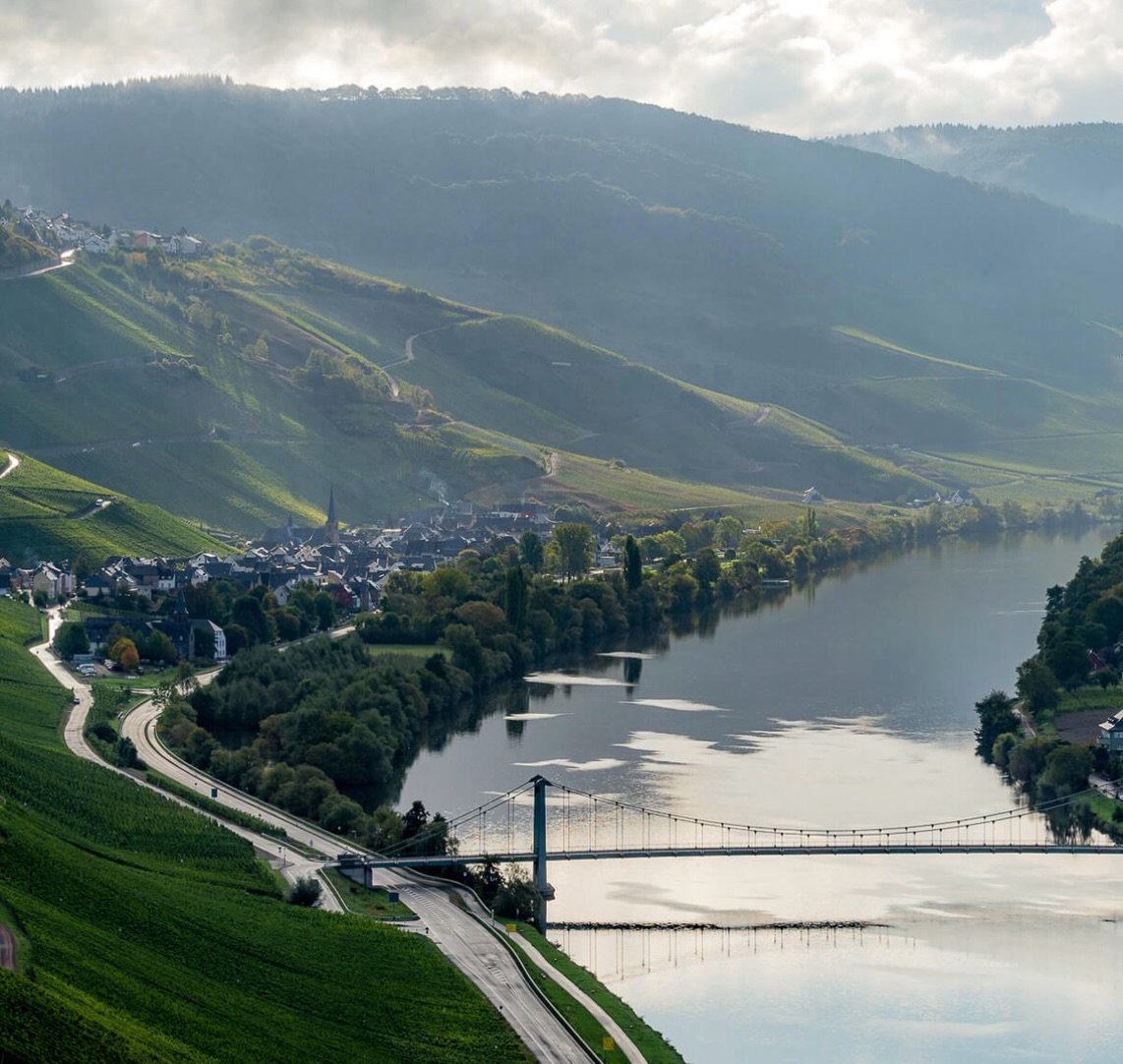 Nestled in the slopes of Germany&rsquo;s famed Mosel Valley, @selbach.oster has been working to cultivate and produce exceptional wines like our Kavalier Kabinett Trocken Riesling since 1661. The vineyards are perched on the valley&rsquo;s steep sout
