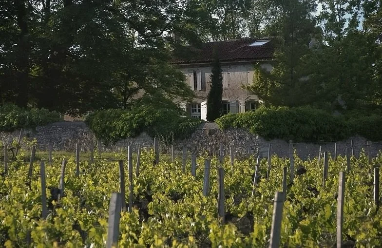 Happy Earth Day 🌎 From organic certified vineyards in France to a low intervention estate and nature preserve in South Africa, our vineyards around the globe take pride in environmentally friendly practices. Celebrate the incredible variety of terro