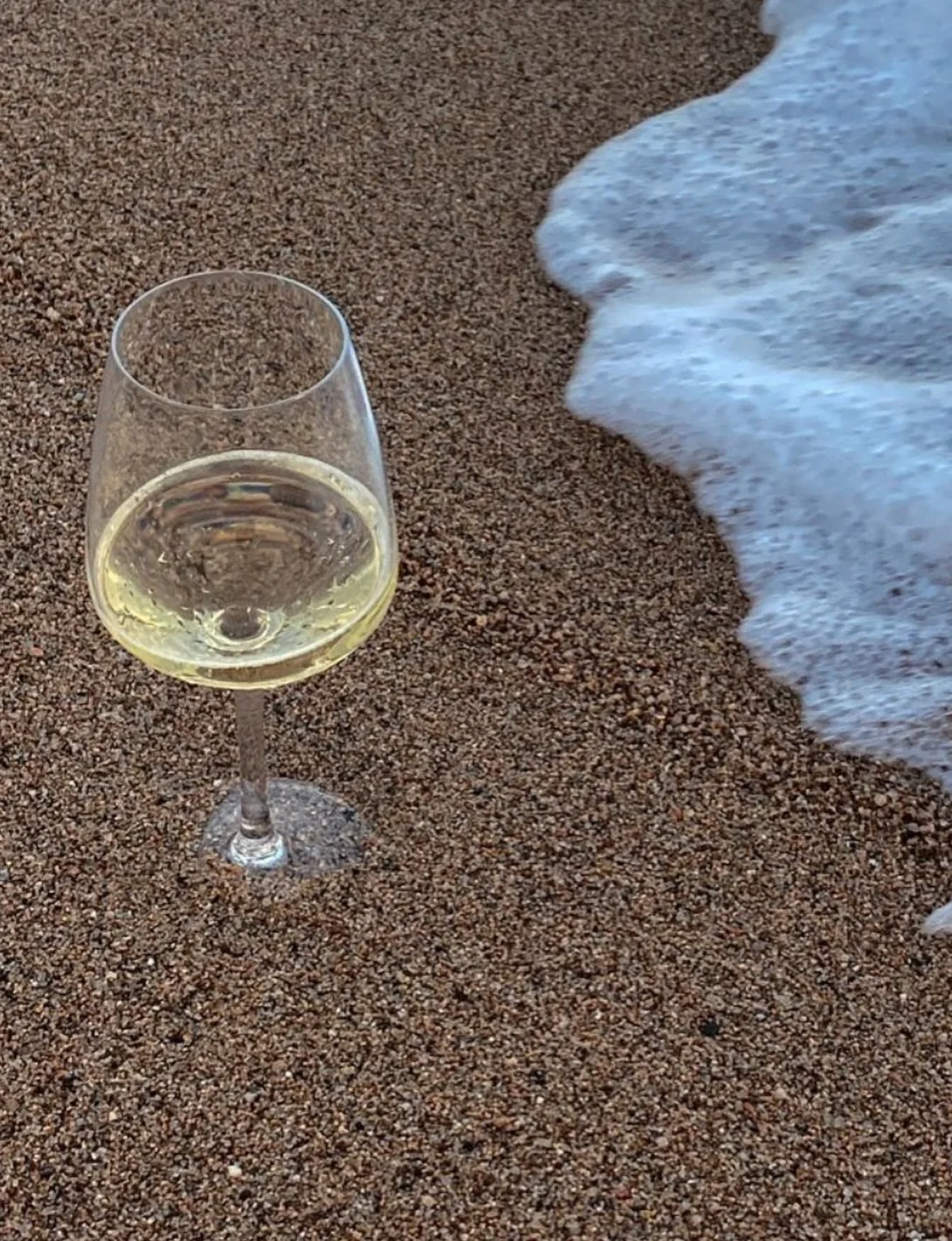Beach days pair well with a chilled glass of white wine. From Marly Chablis to Fynbos Chenin Blanc, discover your perfect beach sip with the Xavier Flouret Wines collection.