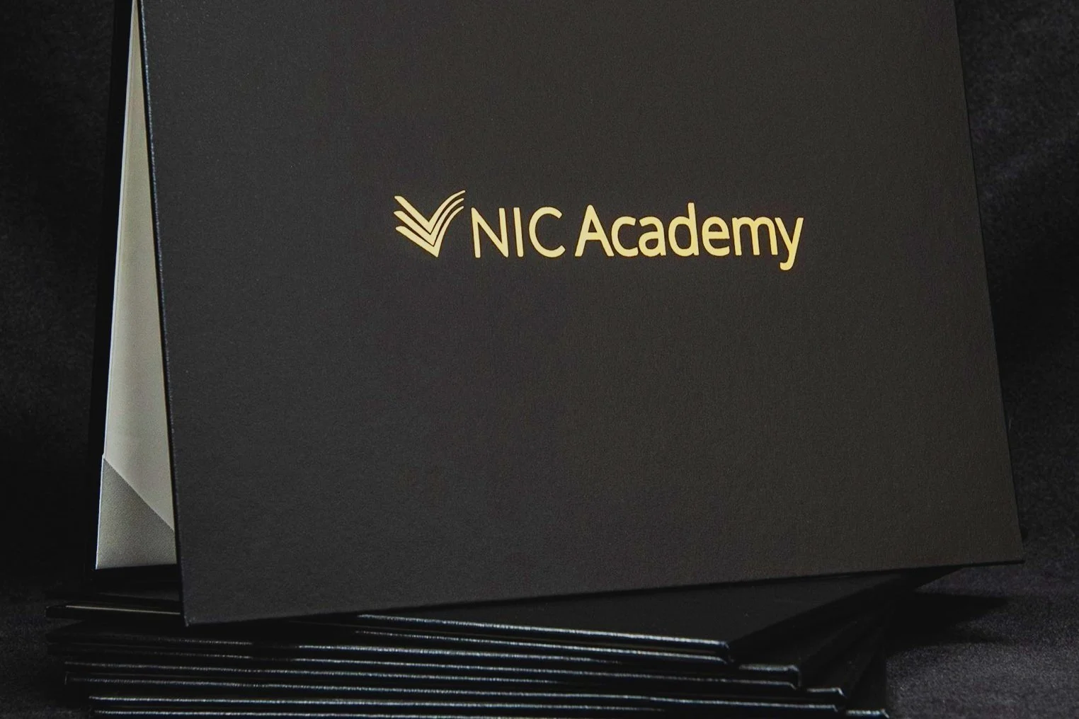 nic_academy.jpg