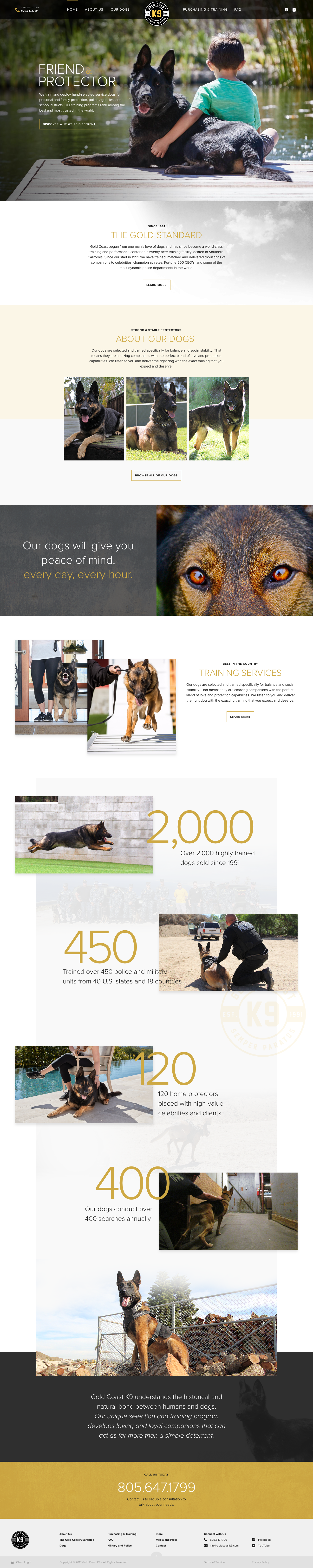 Website landing page