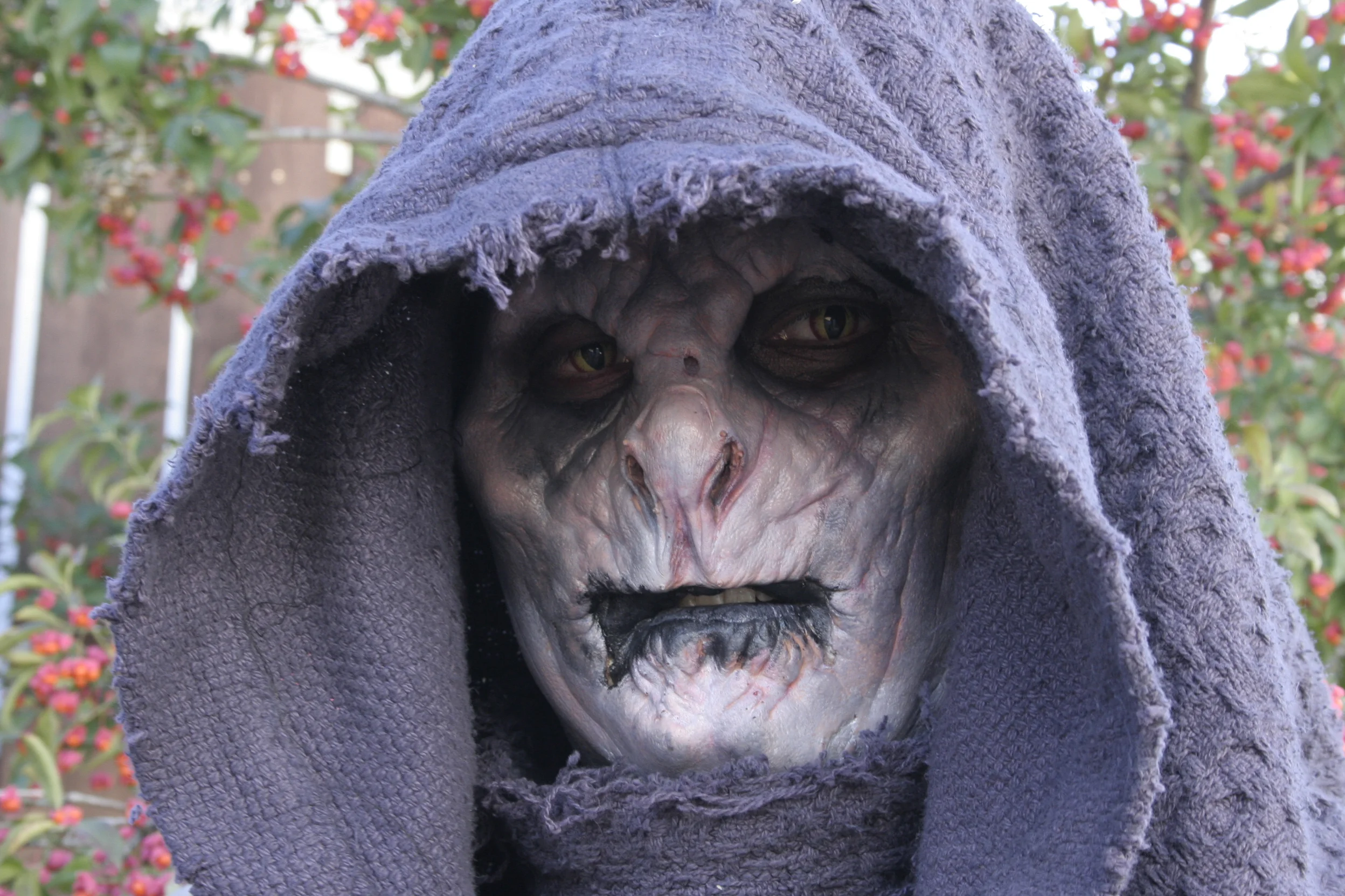  MUA/ Applied Prosthetic 