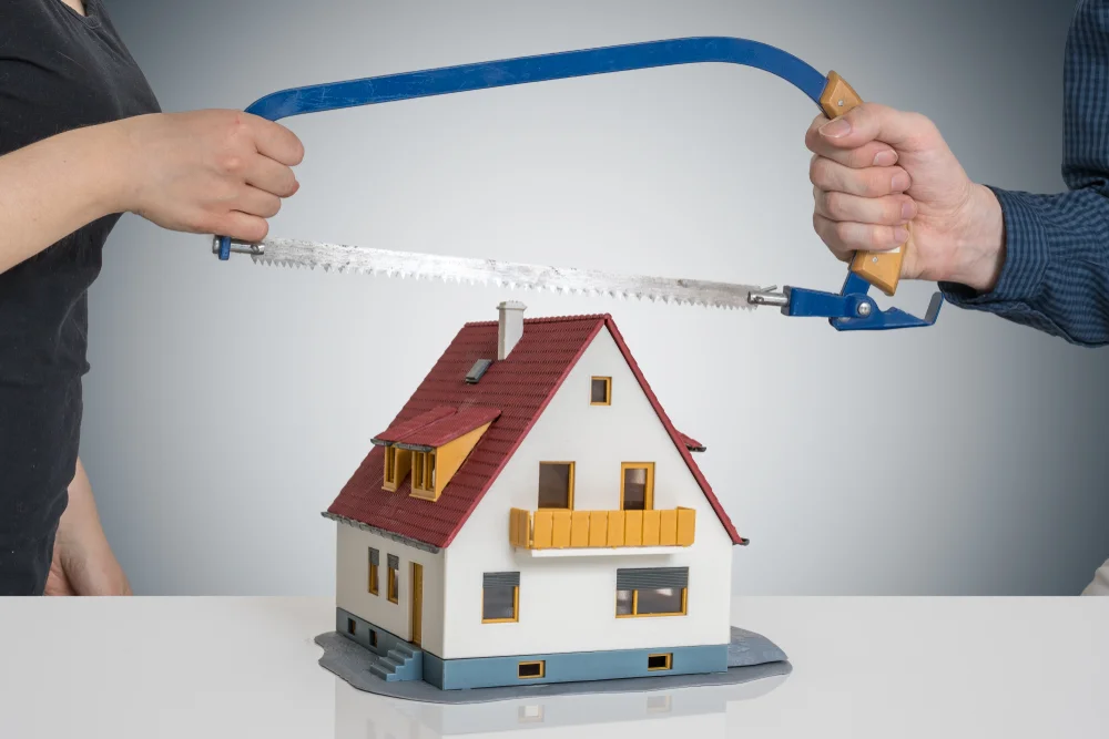 Areas of Marital property.jpg