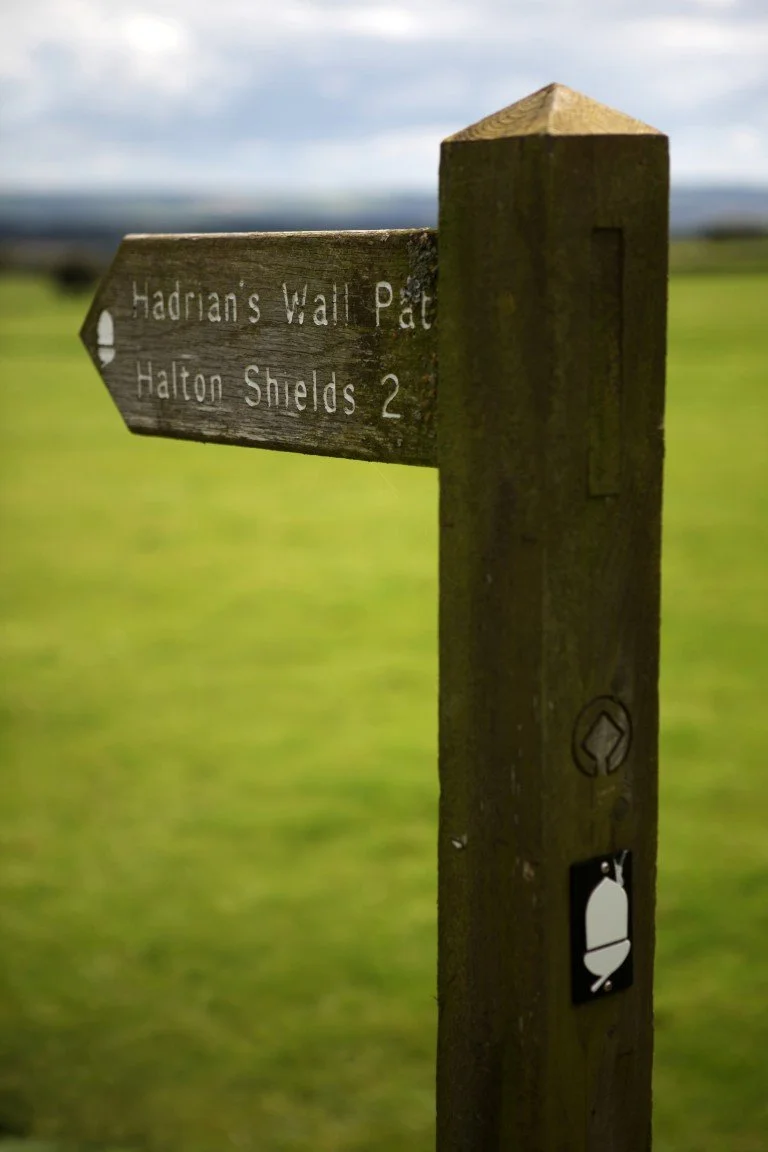 Hadrian's Wall (1) (Medium).jpeg