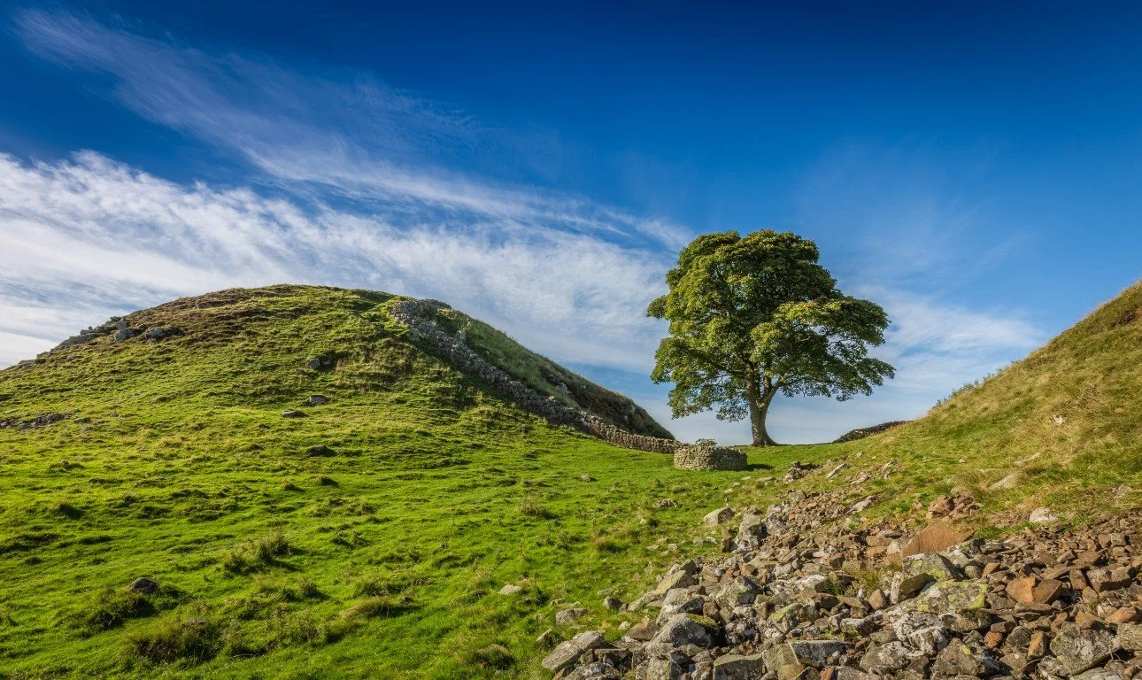 Hadrian's Wall (4) (Medium).jpeg