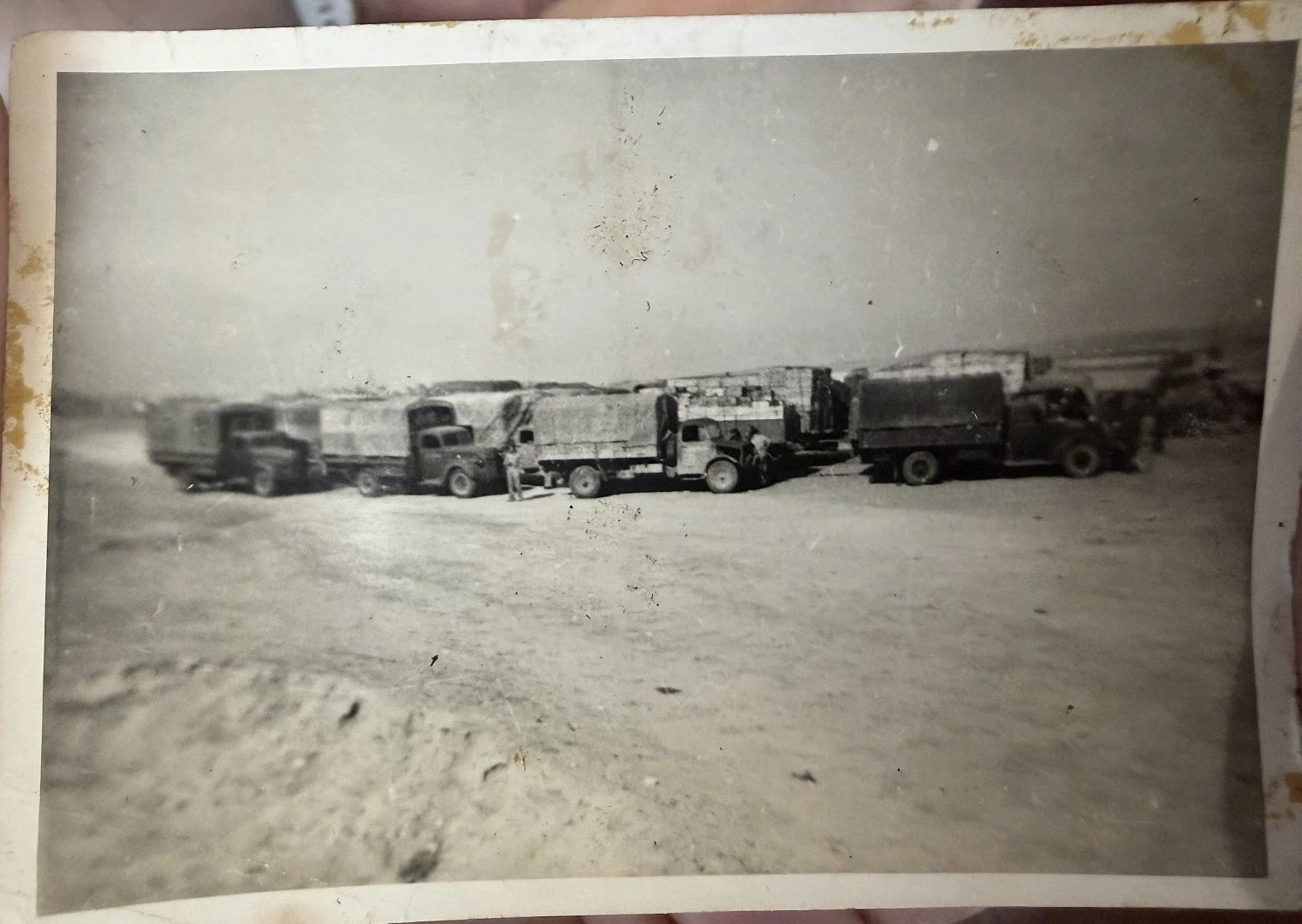 El Alamein_Mick Harper (4) (Large).jpeg