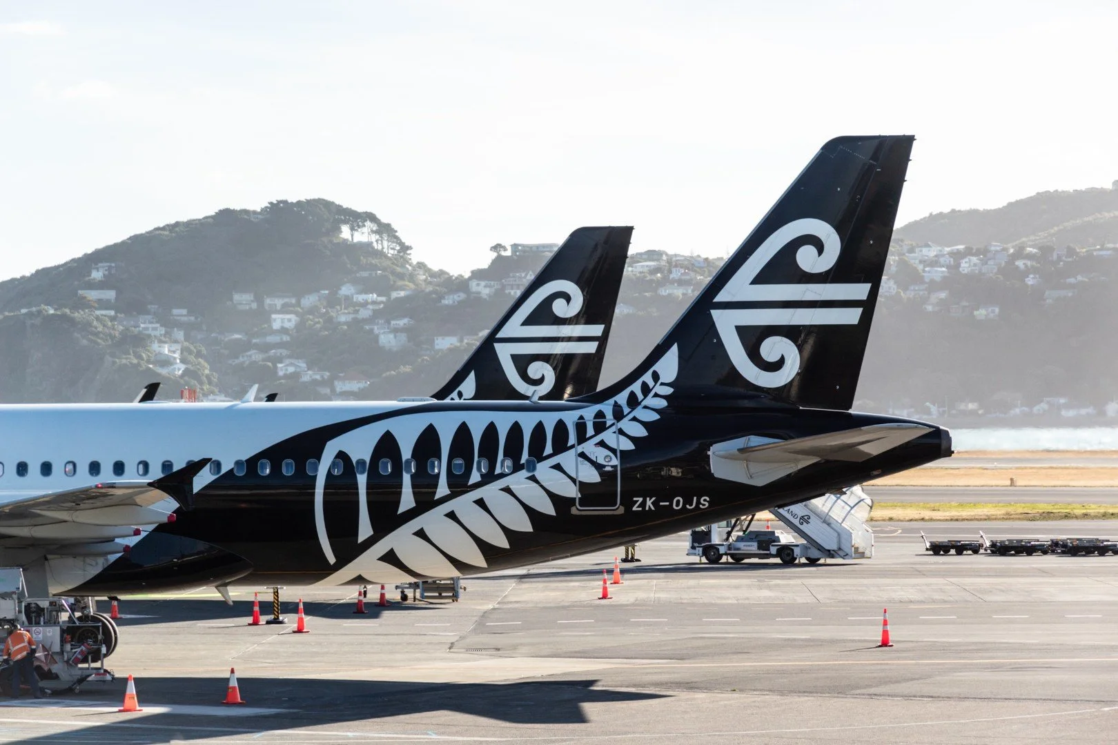 Air NZ Planes (Large).jpeg