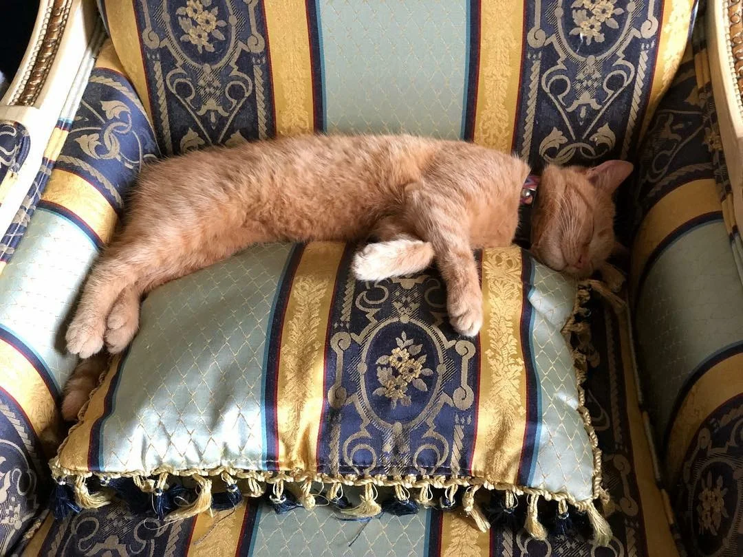 Sleeping on the job!