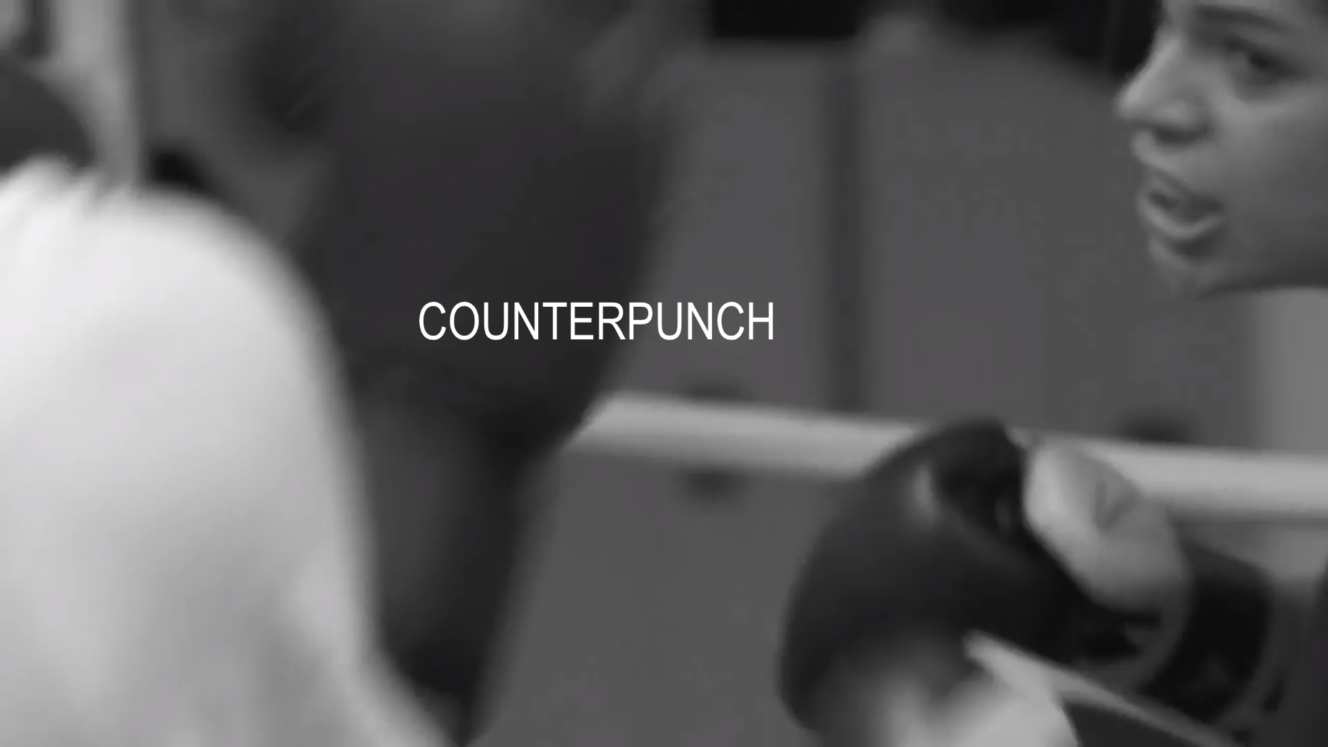 Counterpunch 4.png