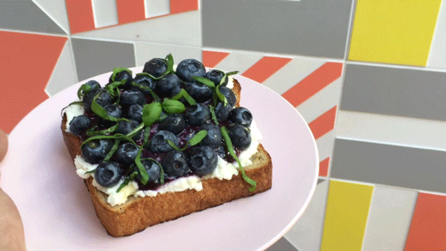 toastytoast.gif