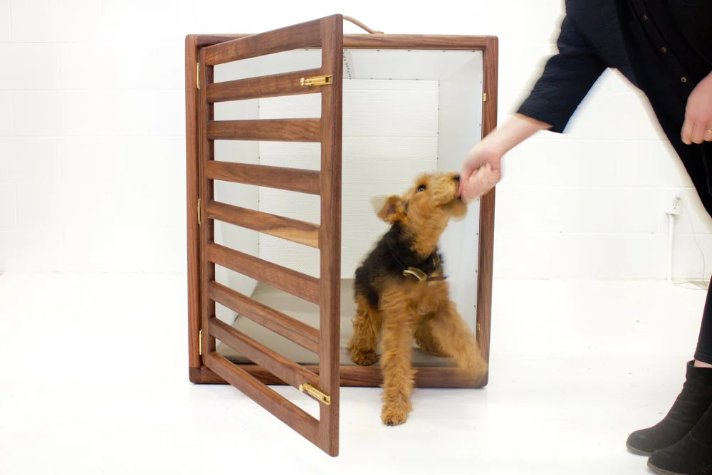 gamla_studio_branch_freedman_gimli_welsh_terrier_05.jpg