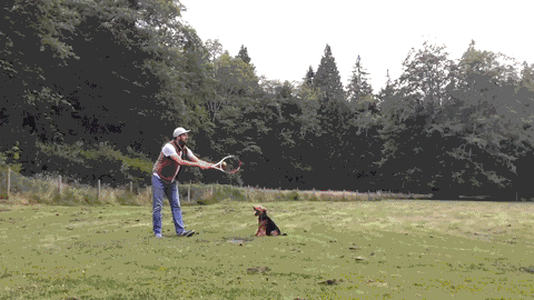 gimli.gif