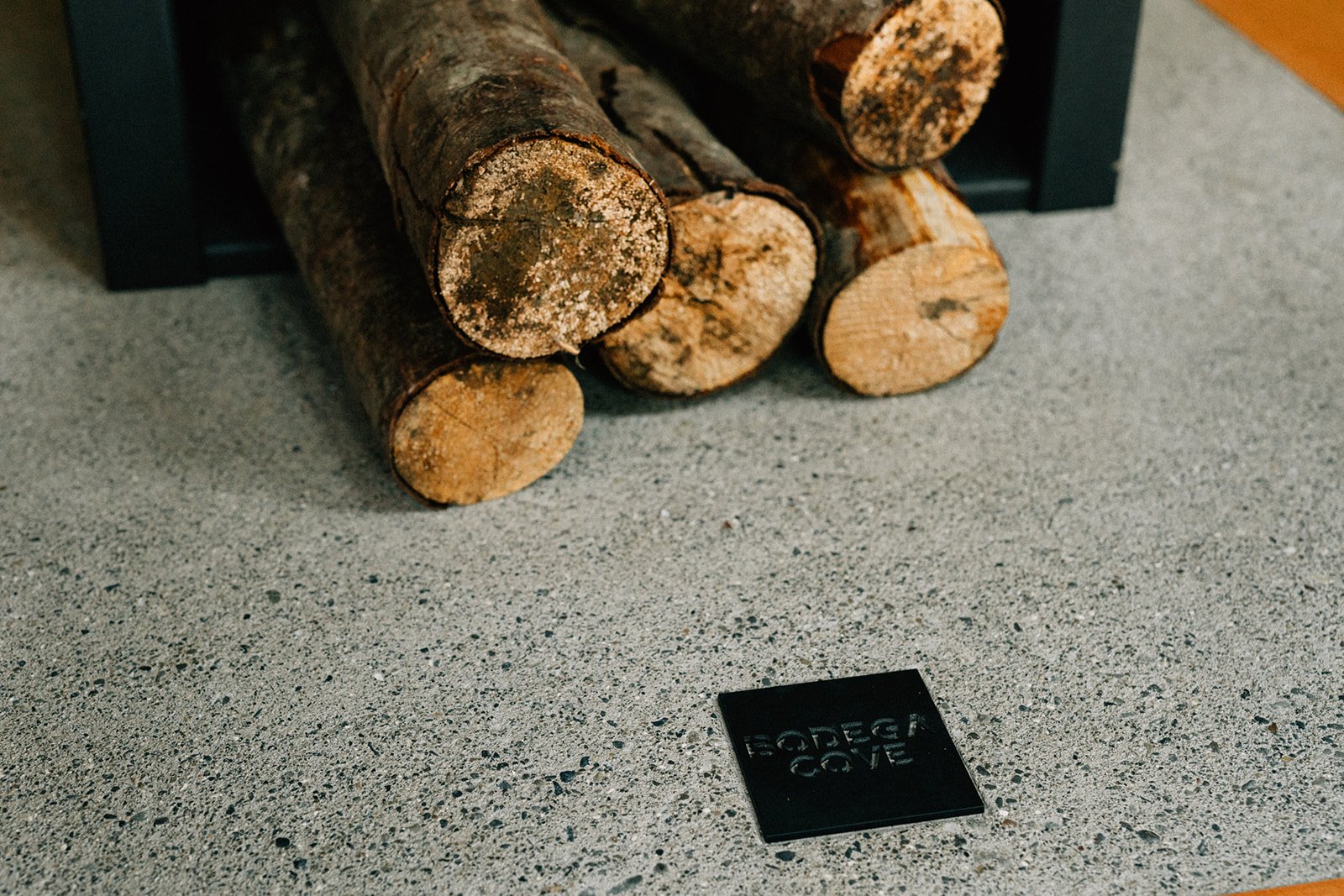 BodegaCove_Selects-287.jpg
