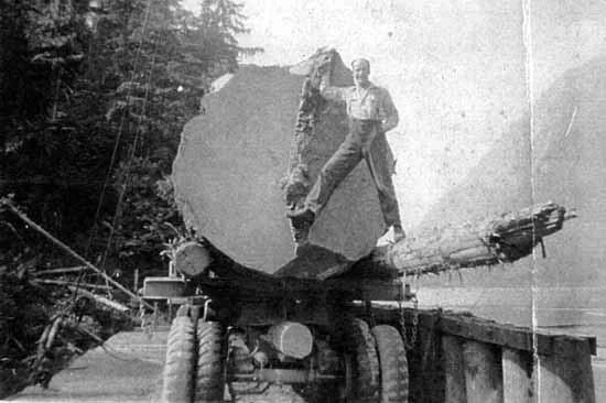 Galiano_Logging.jpg
