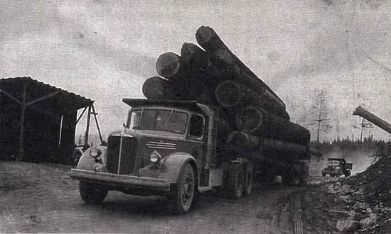 galianologging2.jpg