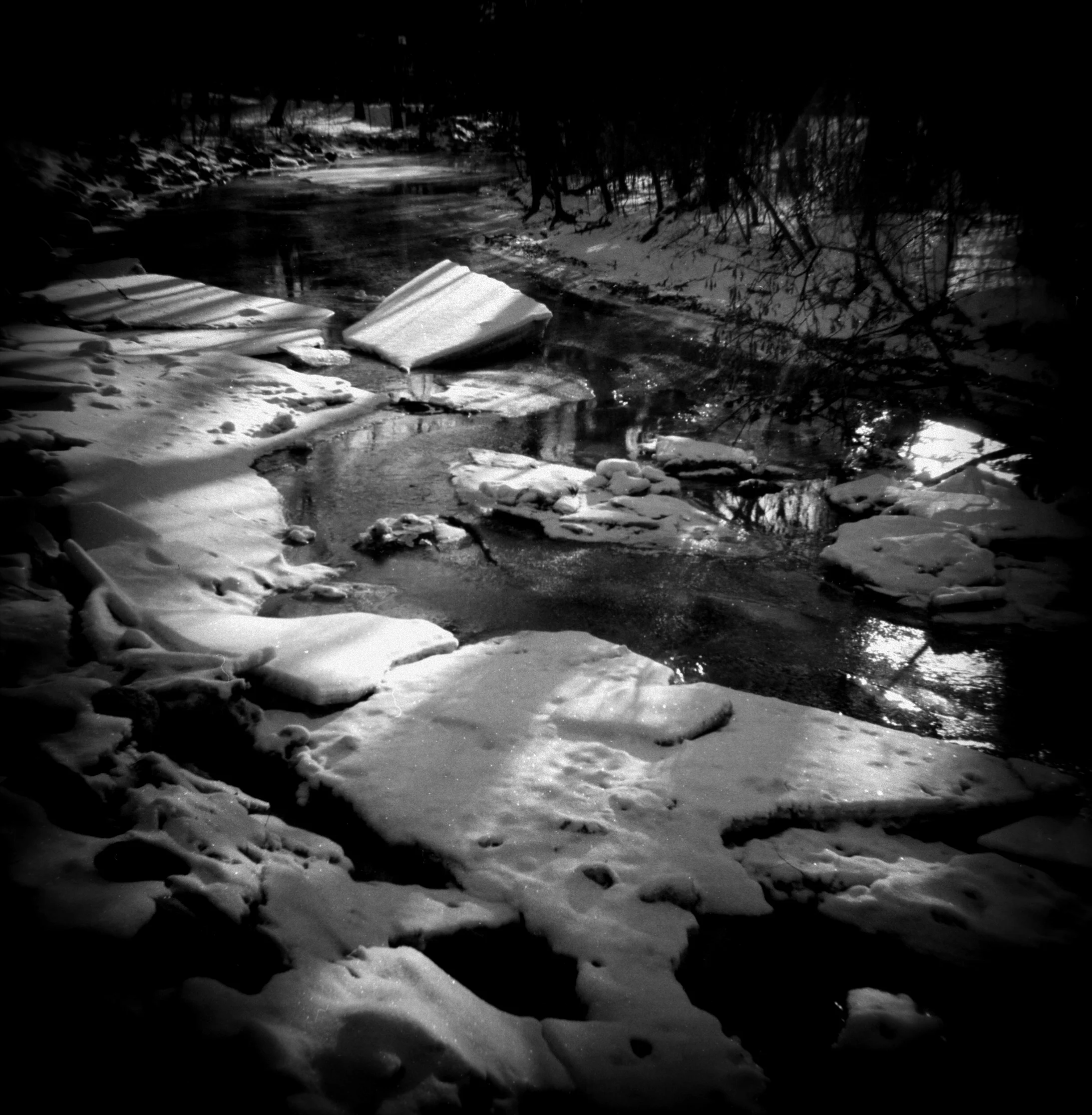 IMG_0002-Holg-edit.jpeg
