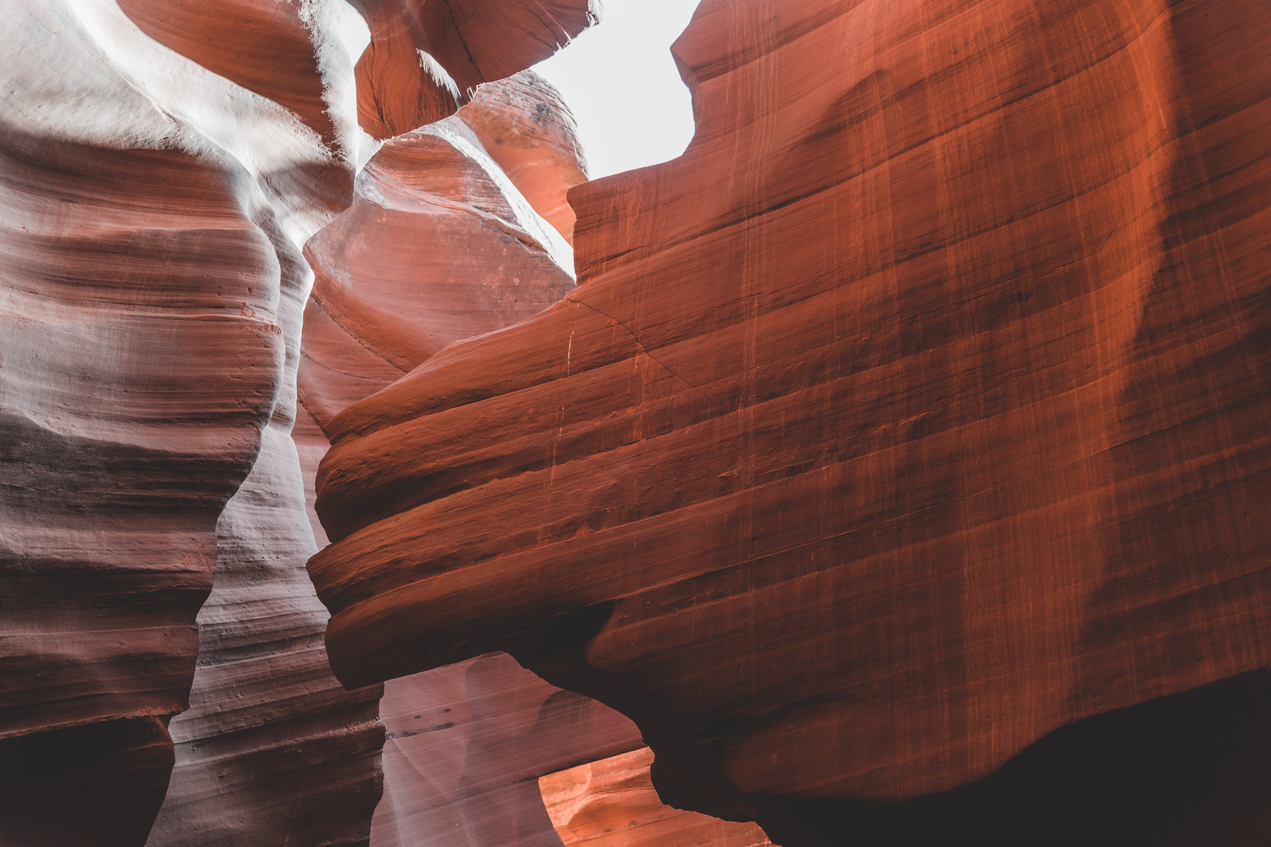 _DSC7879.jpg