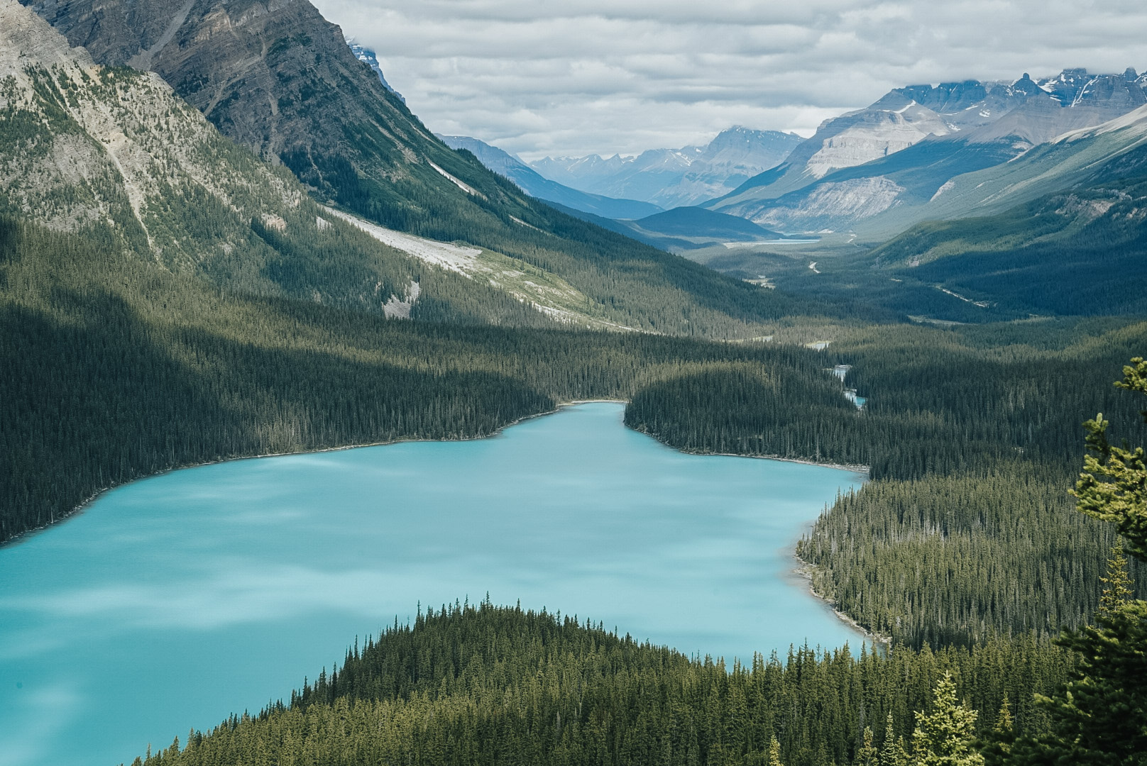 _DSC4272.jpg