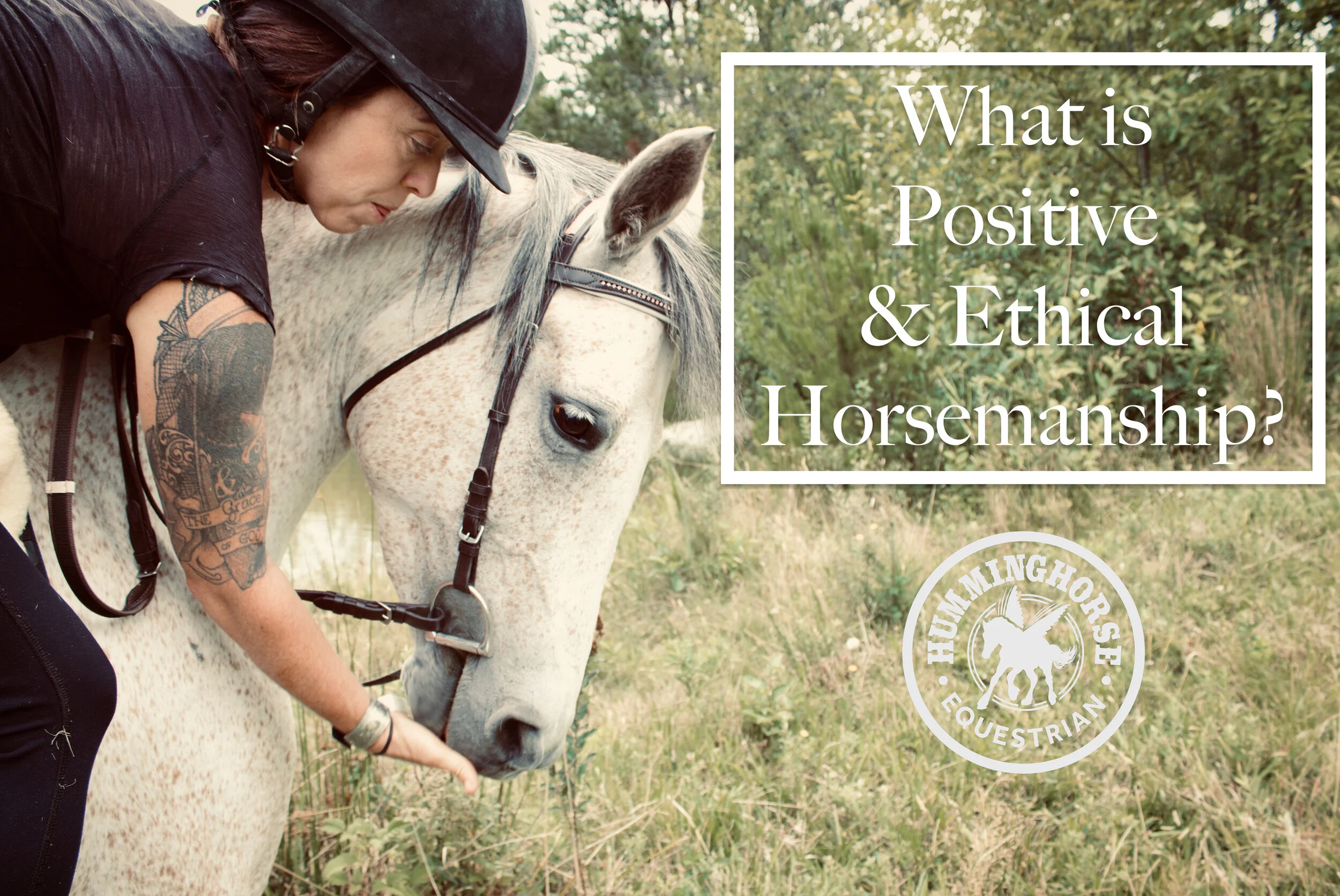 What is Positive &amp; Ethical Horsemanship?