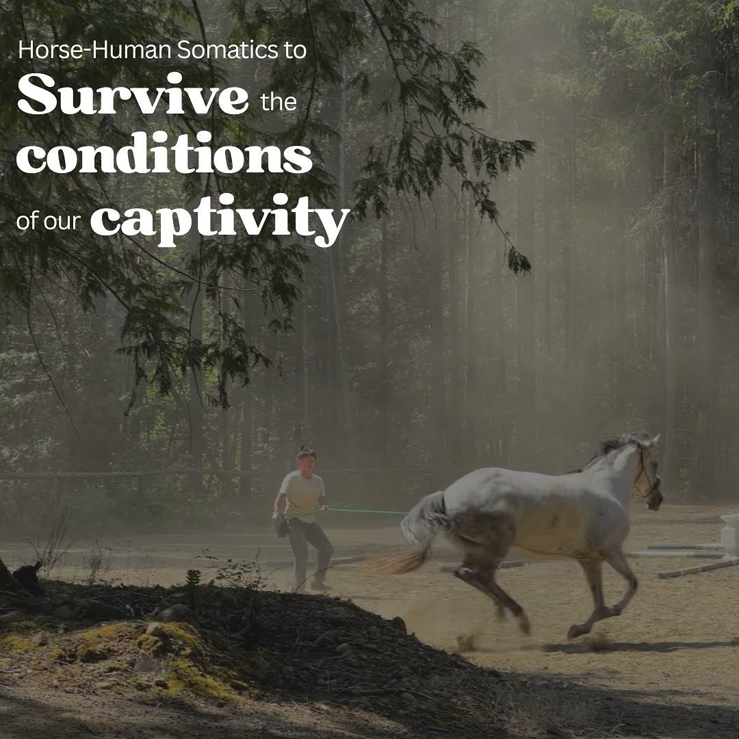 I used to fetishize the wild. Rewilding&mdash;returning to untouched states of freedom in union with life force as it moves through all things and remains beholden only to eco-relational pulls of life and death. 

But I&rsquo;ve come to consider th