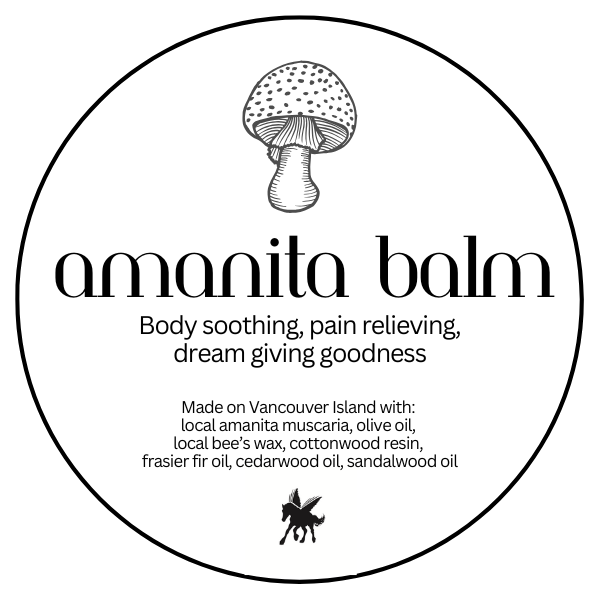 Amanita Balm_2024.png