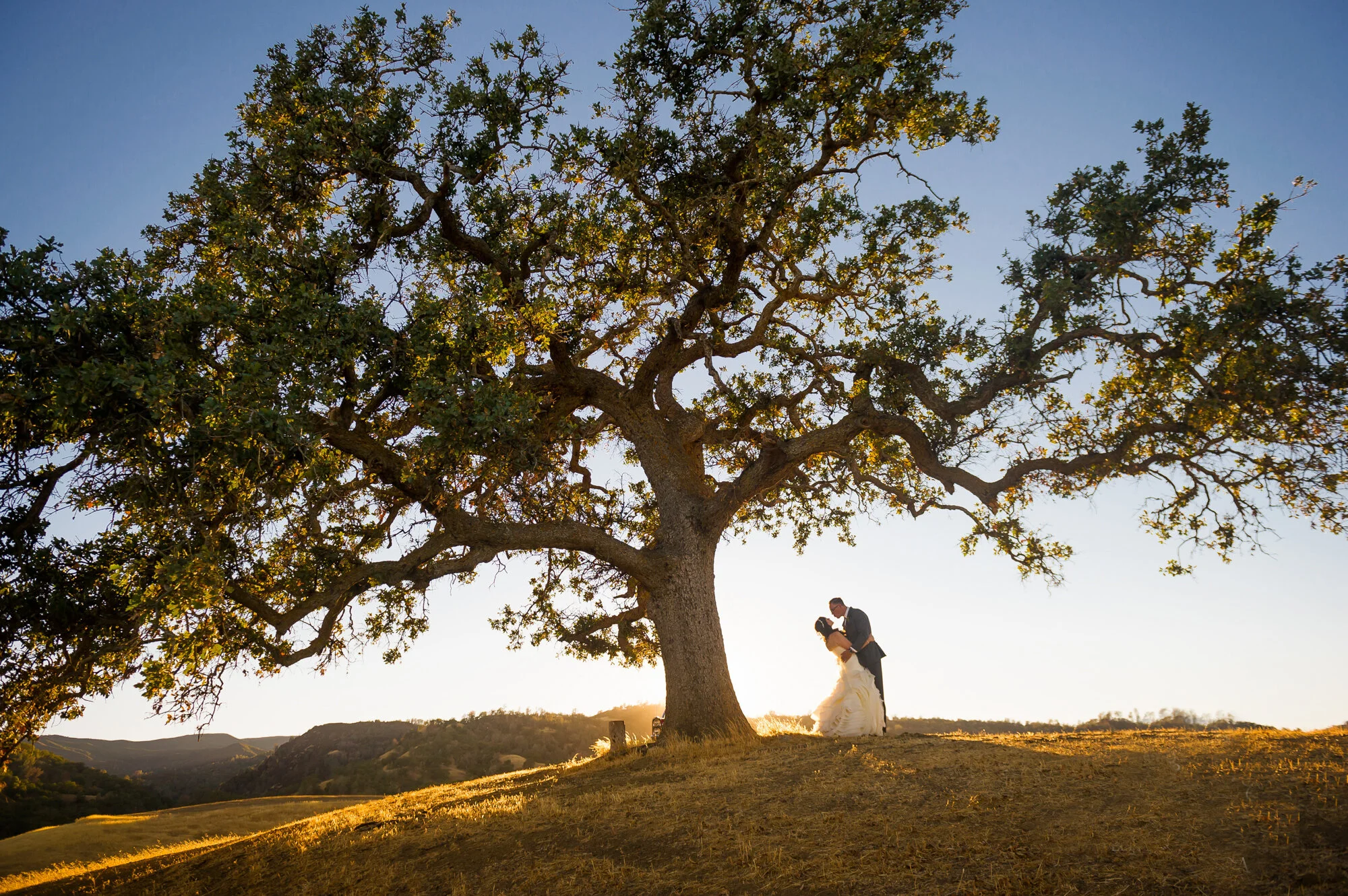 Victoria Barret-0966.jpg