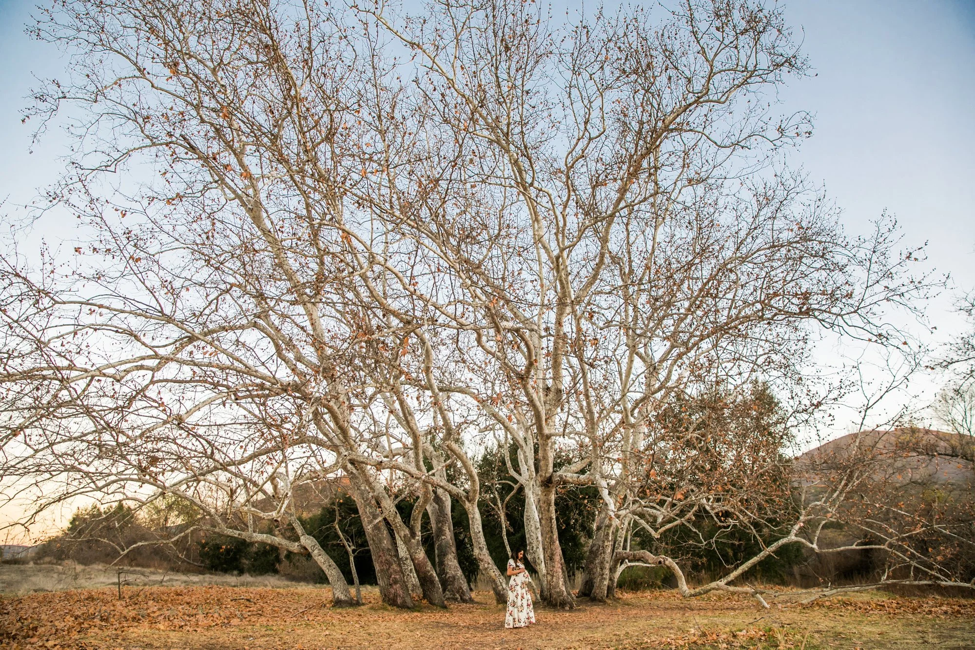 0008_outdoor_maternity_photos_in_field.jpg