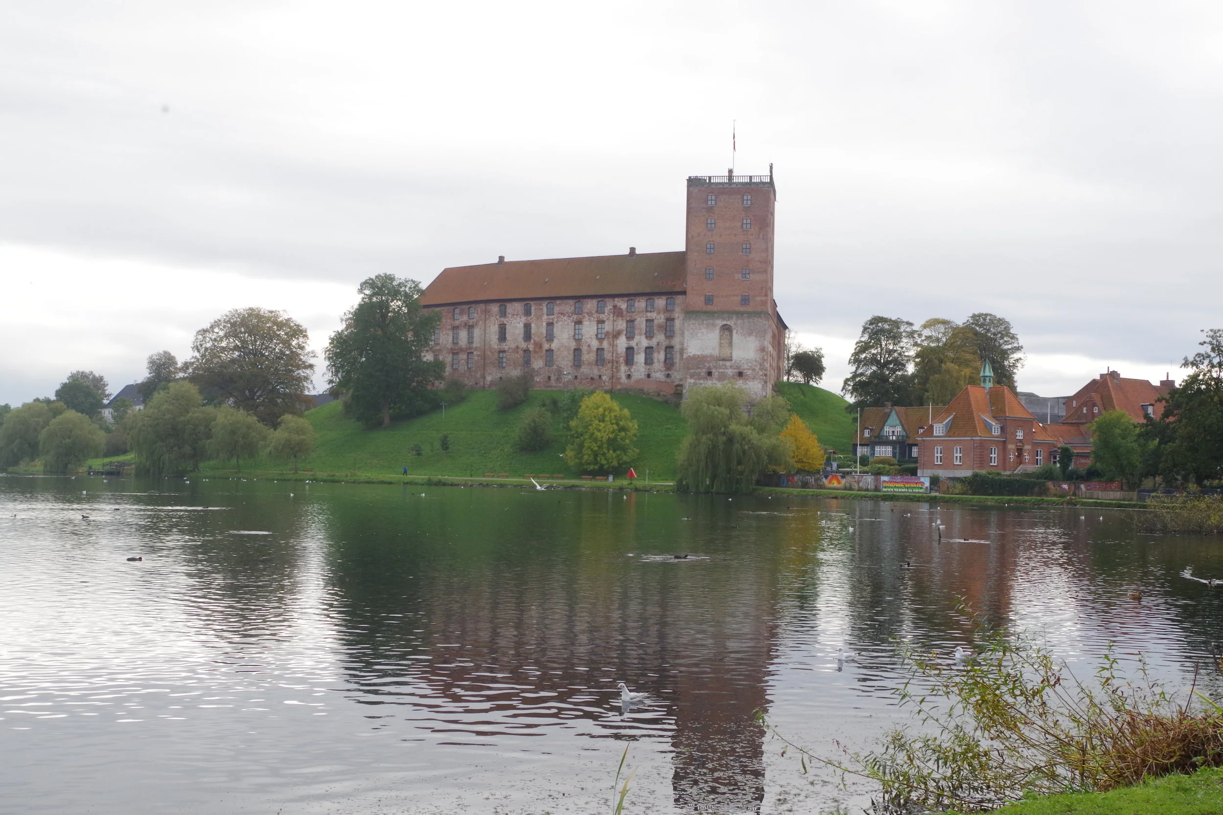 IMGP0367.jpg