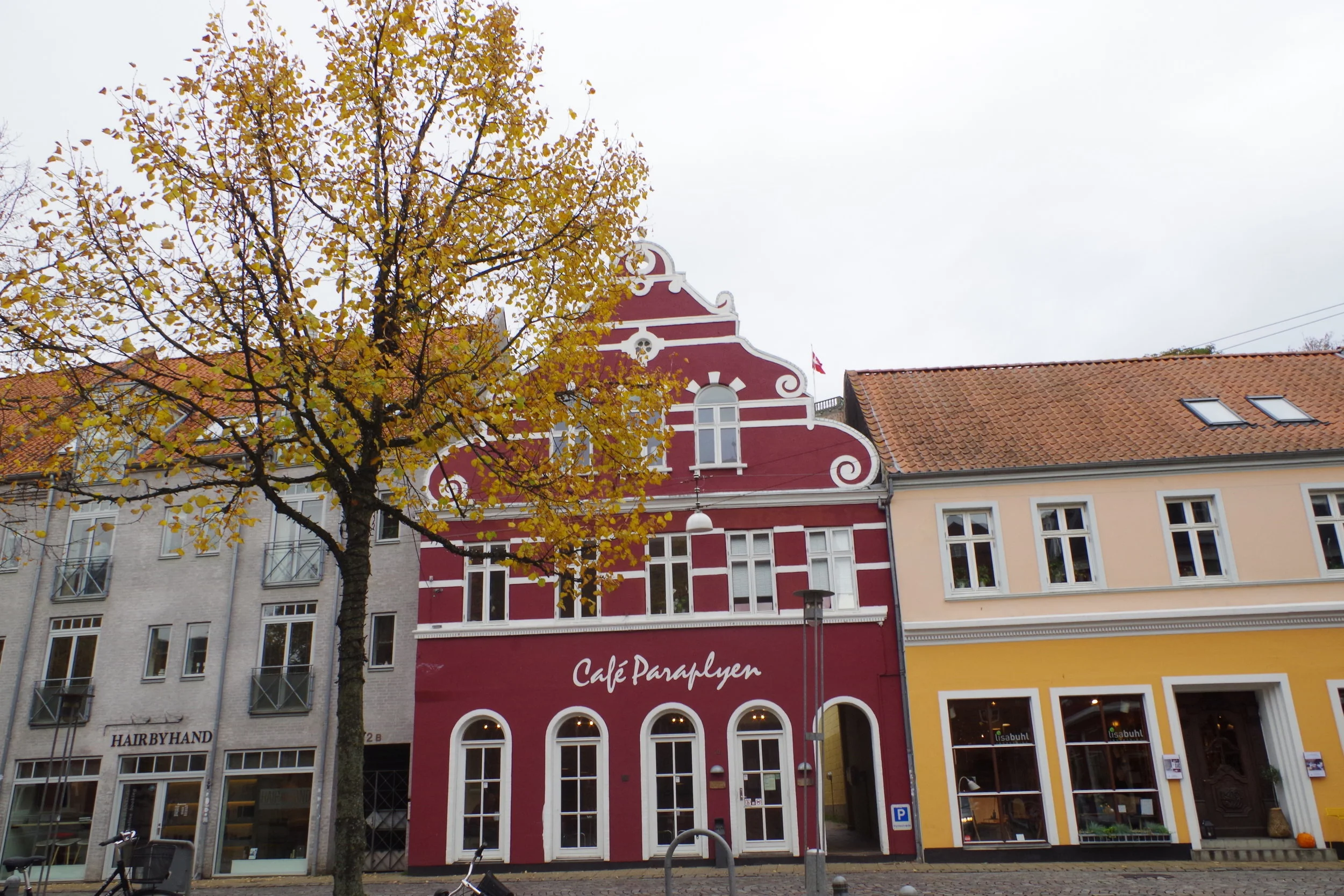 IMGP0394.jpg