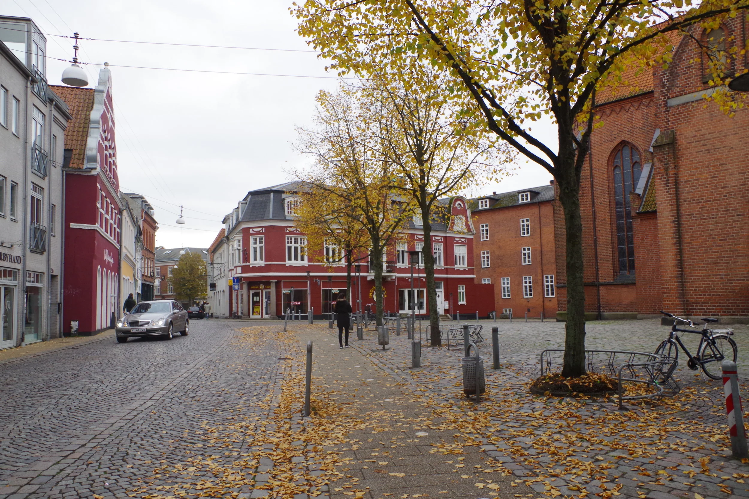 IMGP0392.jpg