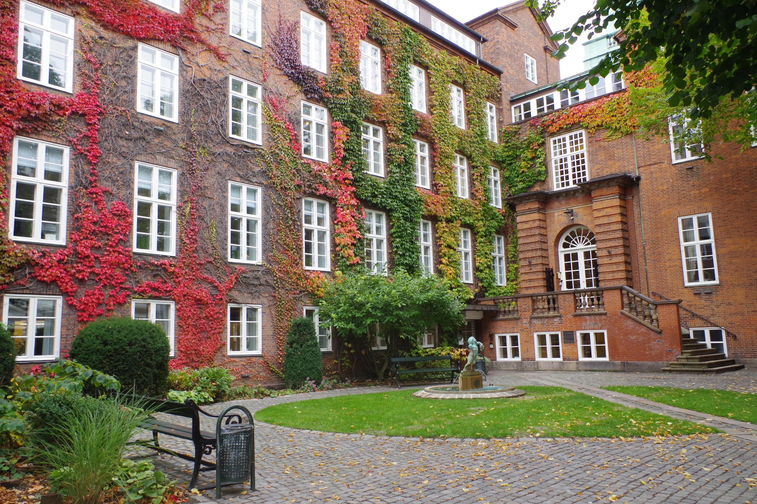 IMGP0426.jpg